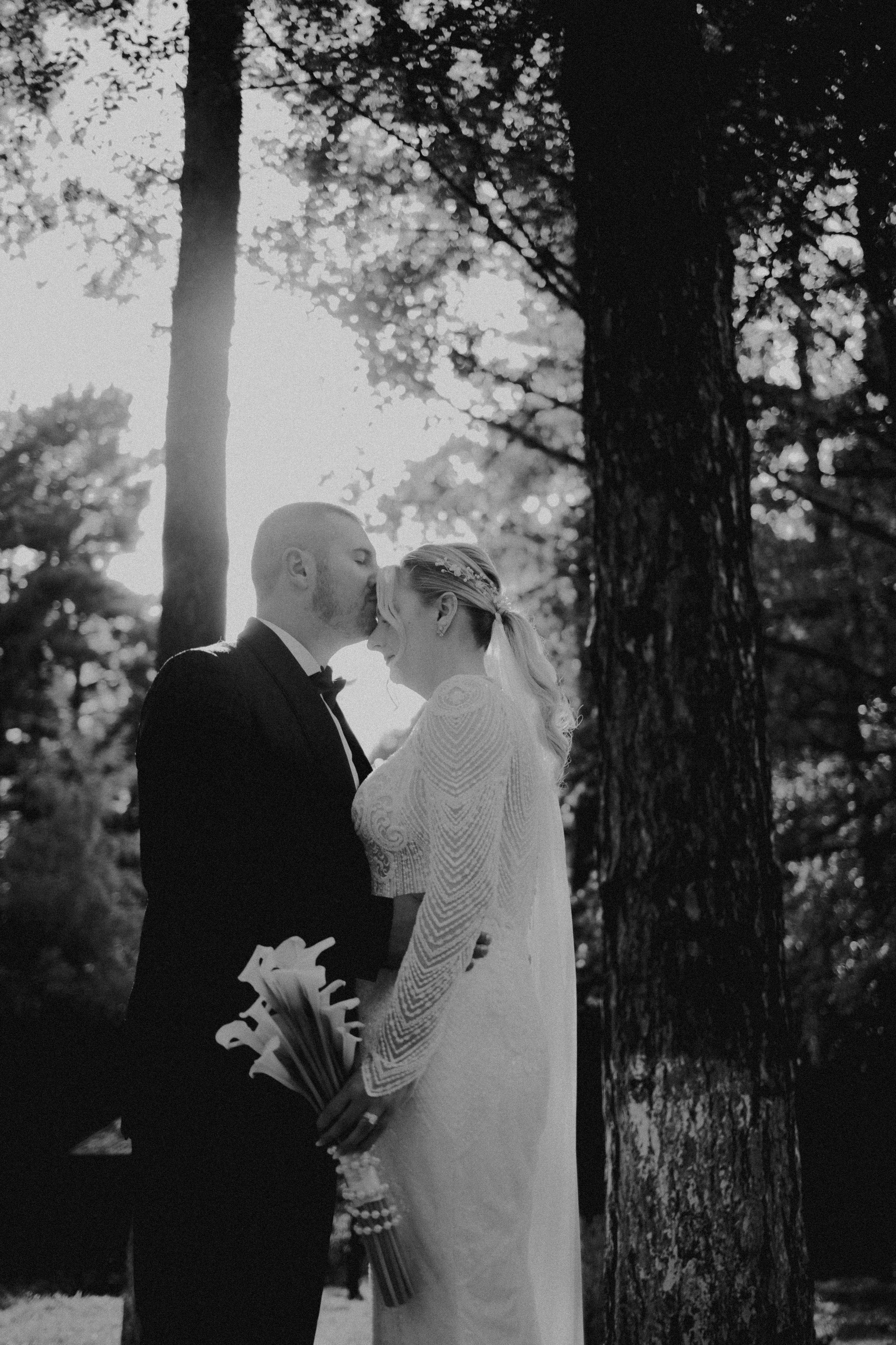 Diana + Adrian / Wedding day. Foto / Video nunta Deva, Hunedoara