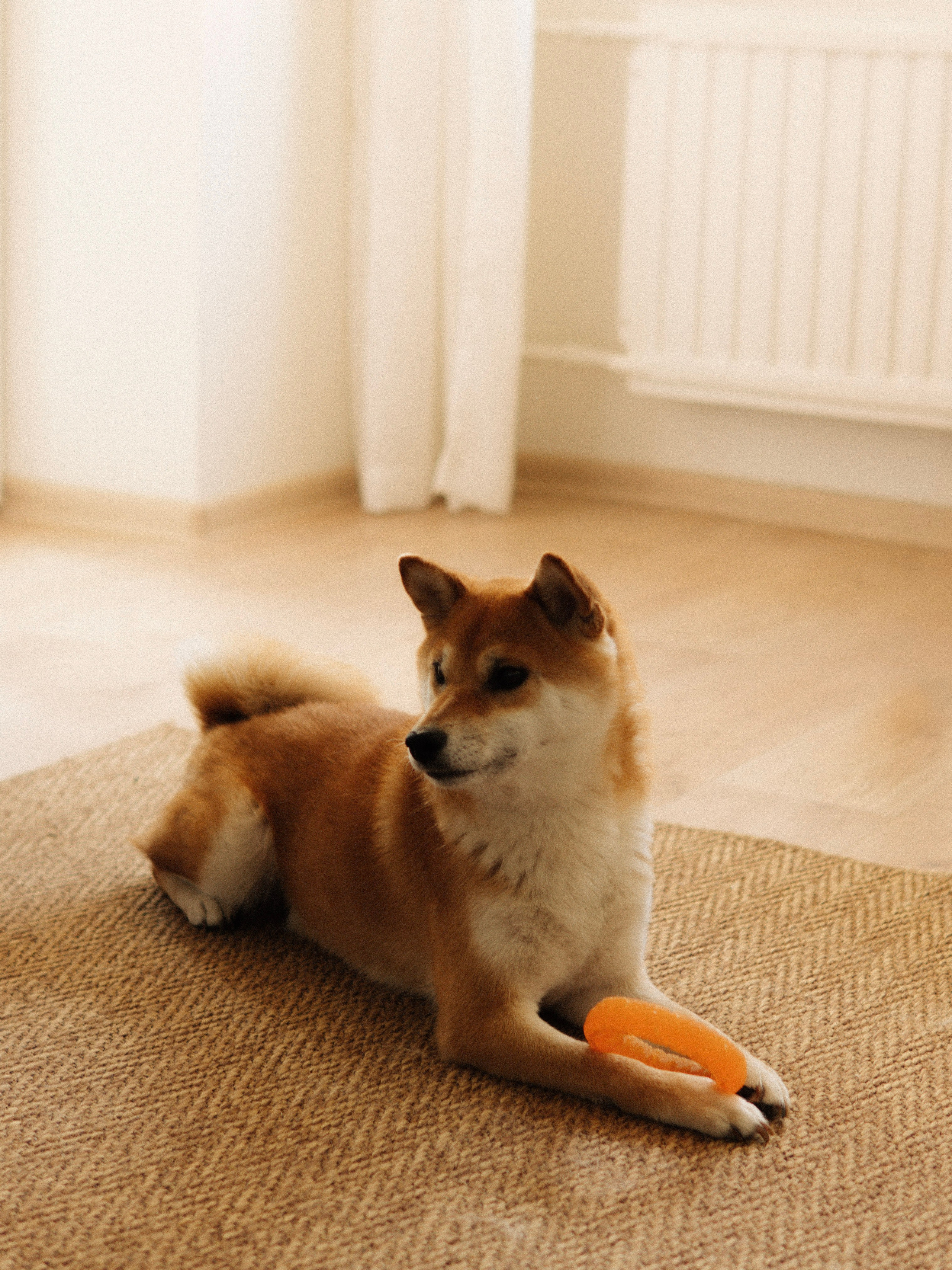 Kaamera ühel või teisel küljel. Meeste ja naiste fotograaf Tallinnas Anna Sipari