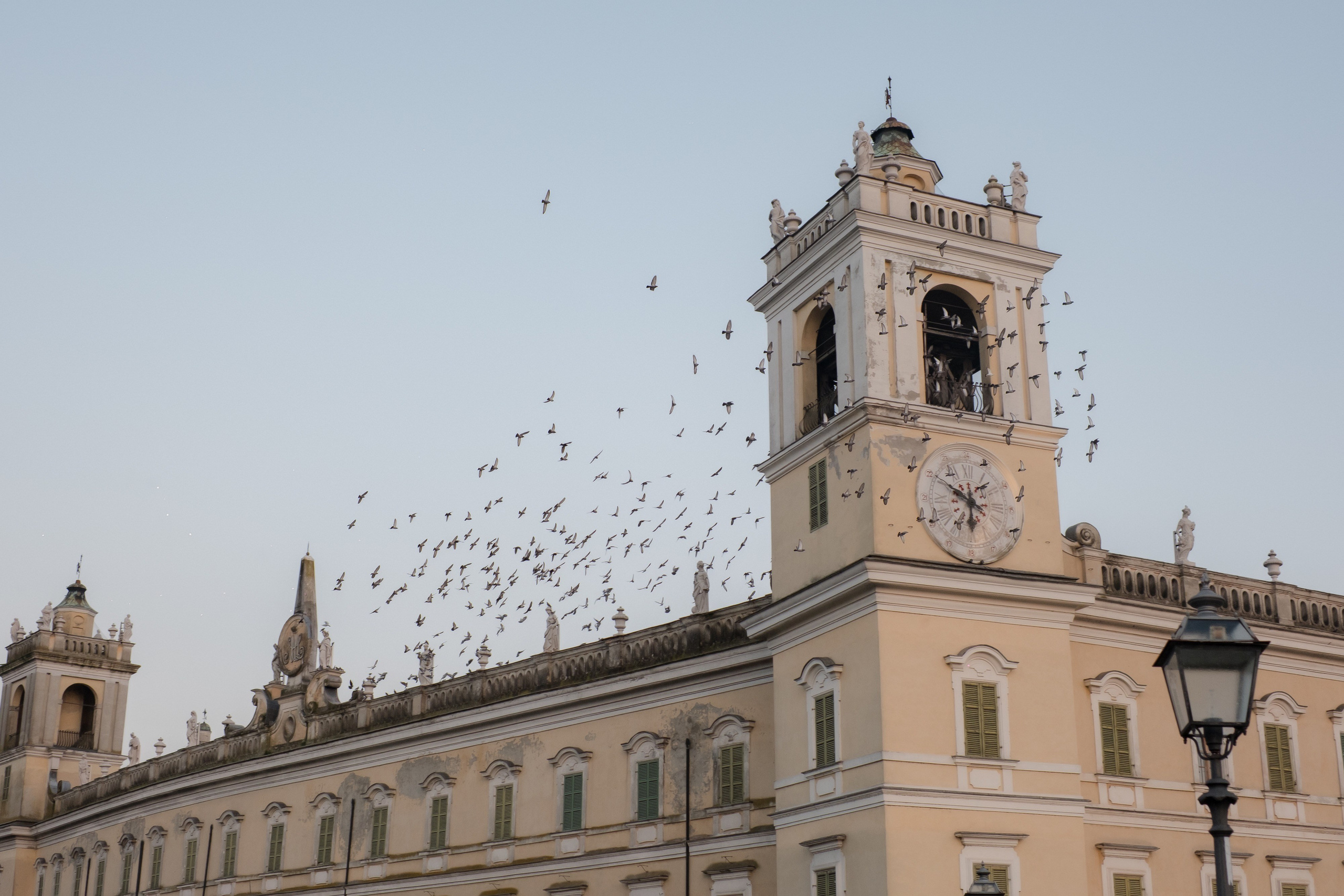 Anatolie & Daniela. Grosu Photography