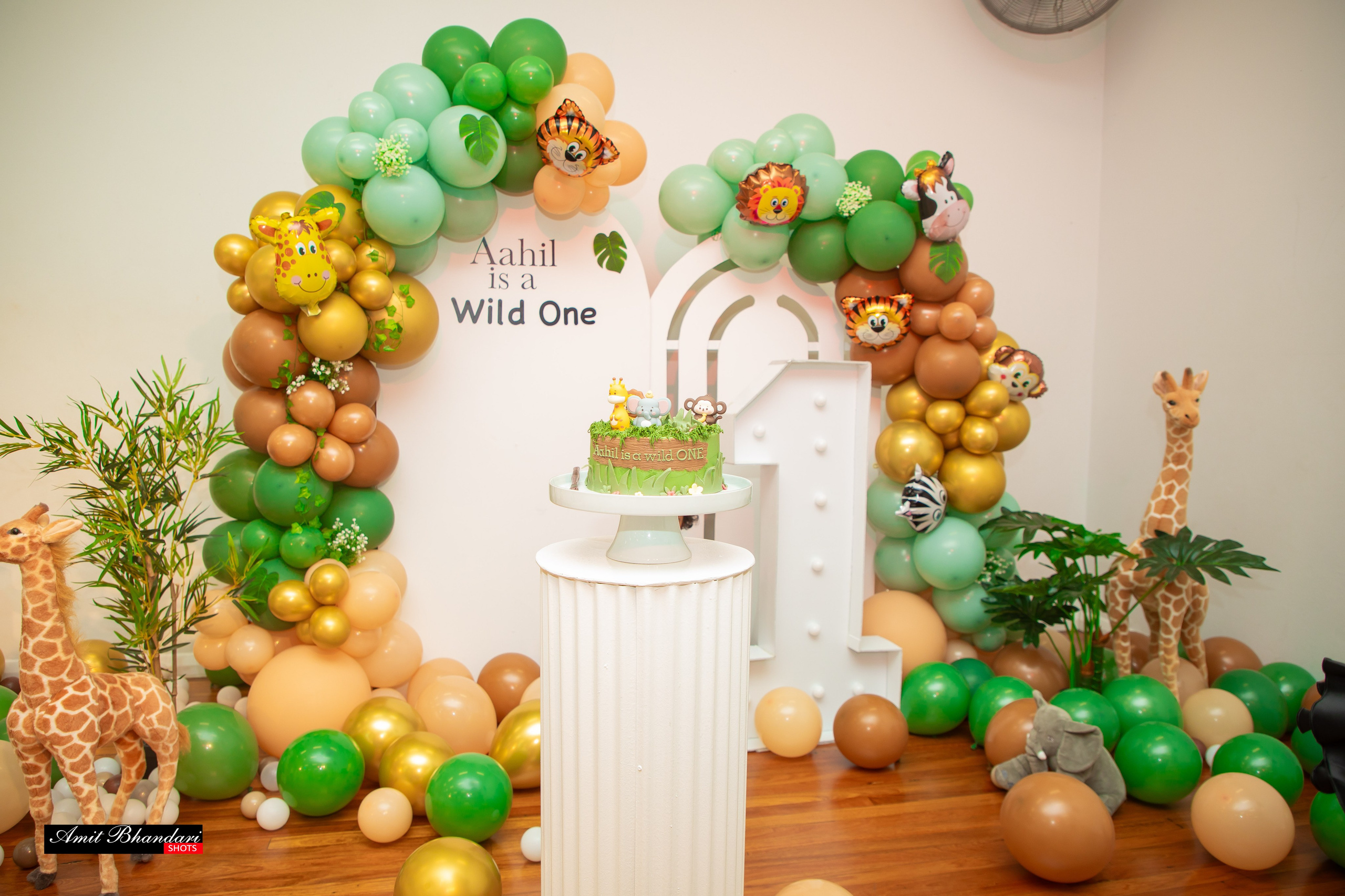 AAHIL’s 1st Birthday. Freelance Photographer in Newcastle & Central Coast