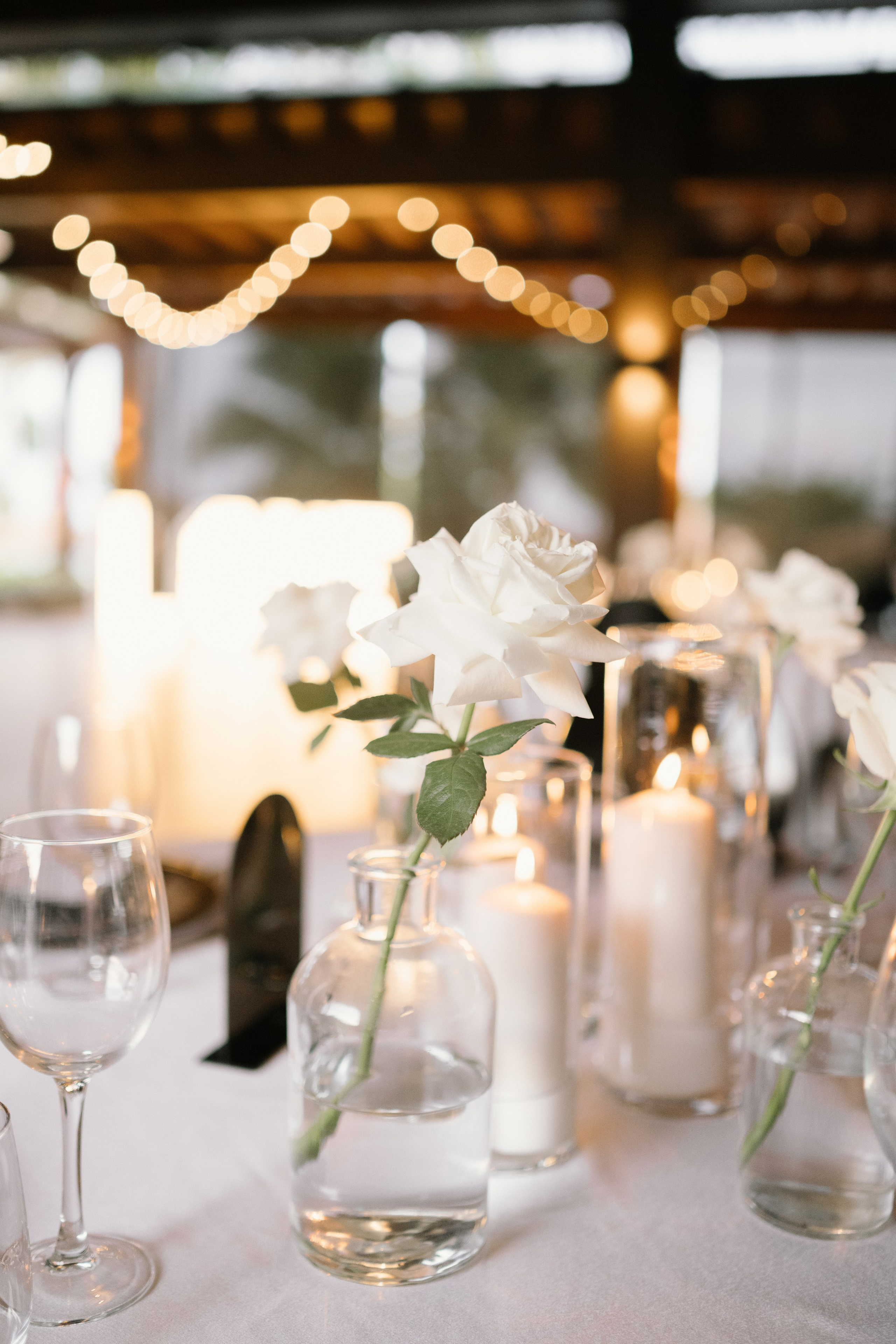 Lakin&Gregory. Punta cana wedding family fashion photographer dominican republic, destination wedding photographer, elopement photography Punta Cana