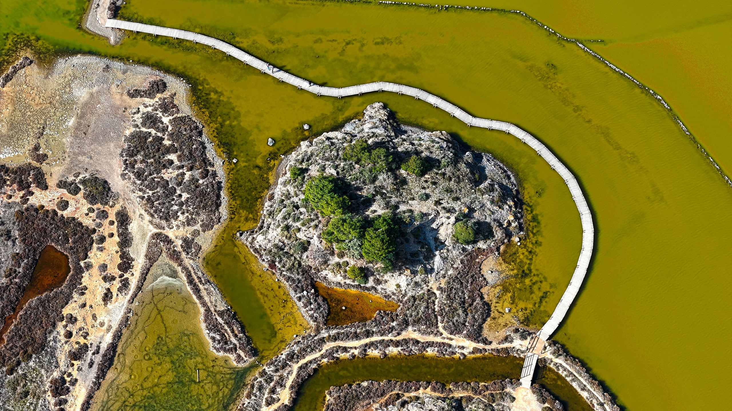 Photographe et Vidéaste Professionnelle à Béziers. Photographe Professionnel à Béziers et Montpellier – Mariages, Portraits et Vidéos Aériennes