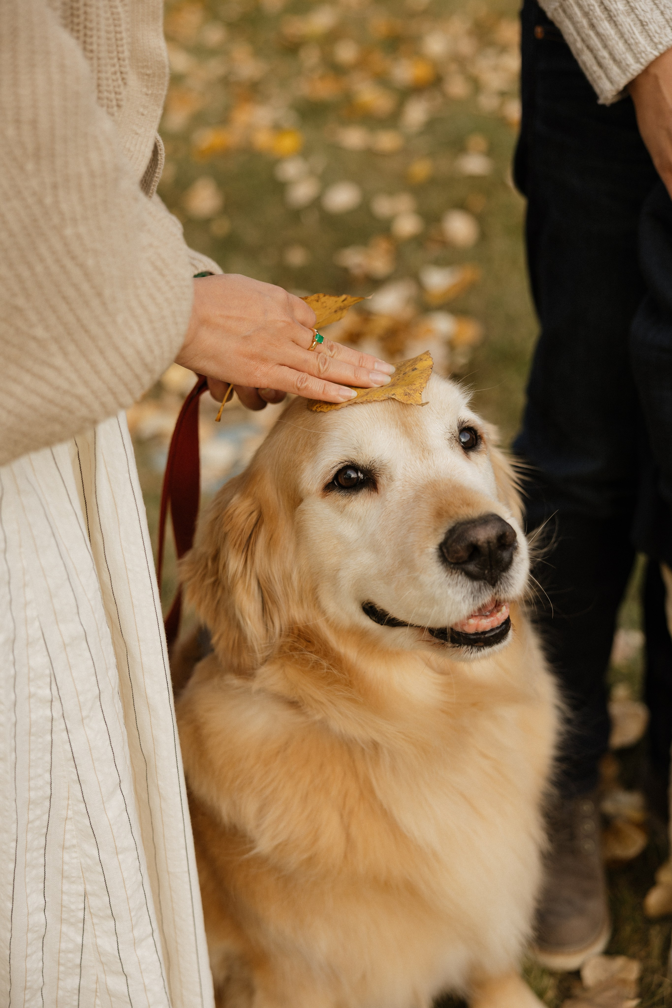 Warm Autumn with Kendra & Family. Photographer Stanislav Antonov