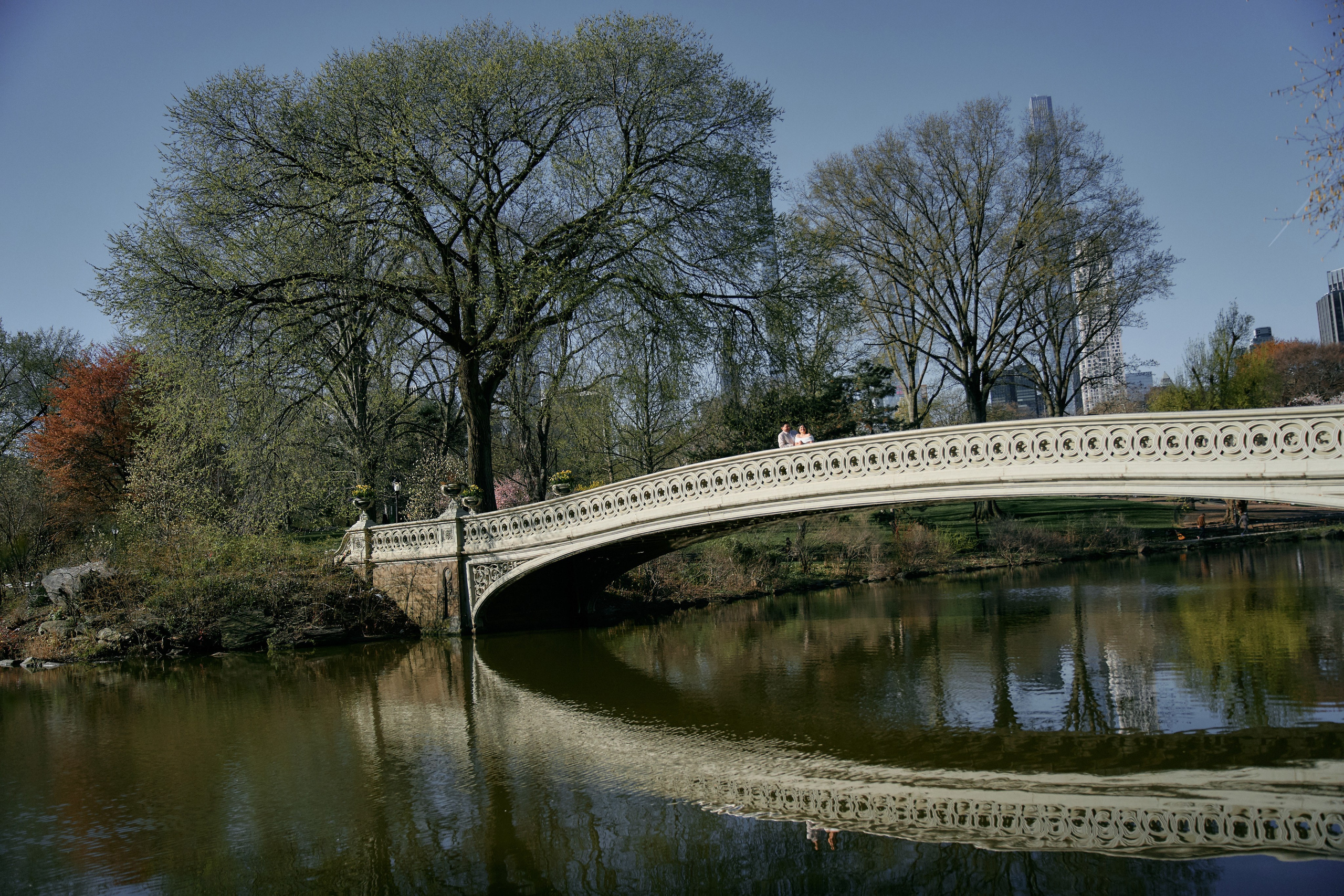 Surprise Proposal in New York. Professional Wedding and event photographer USA New York