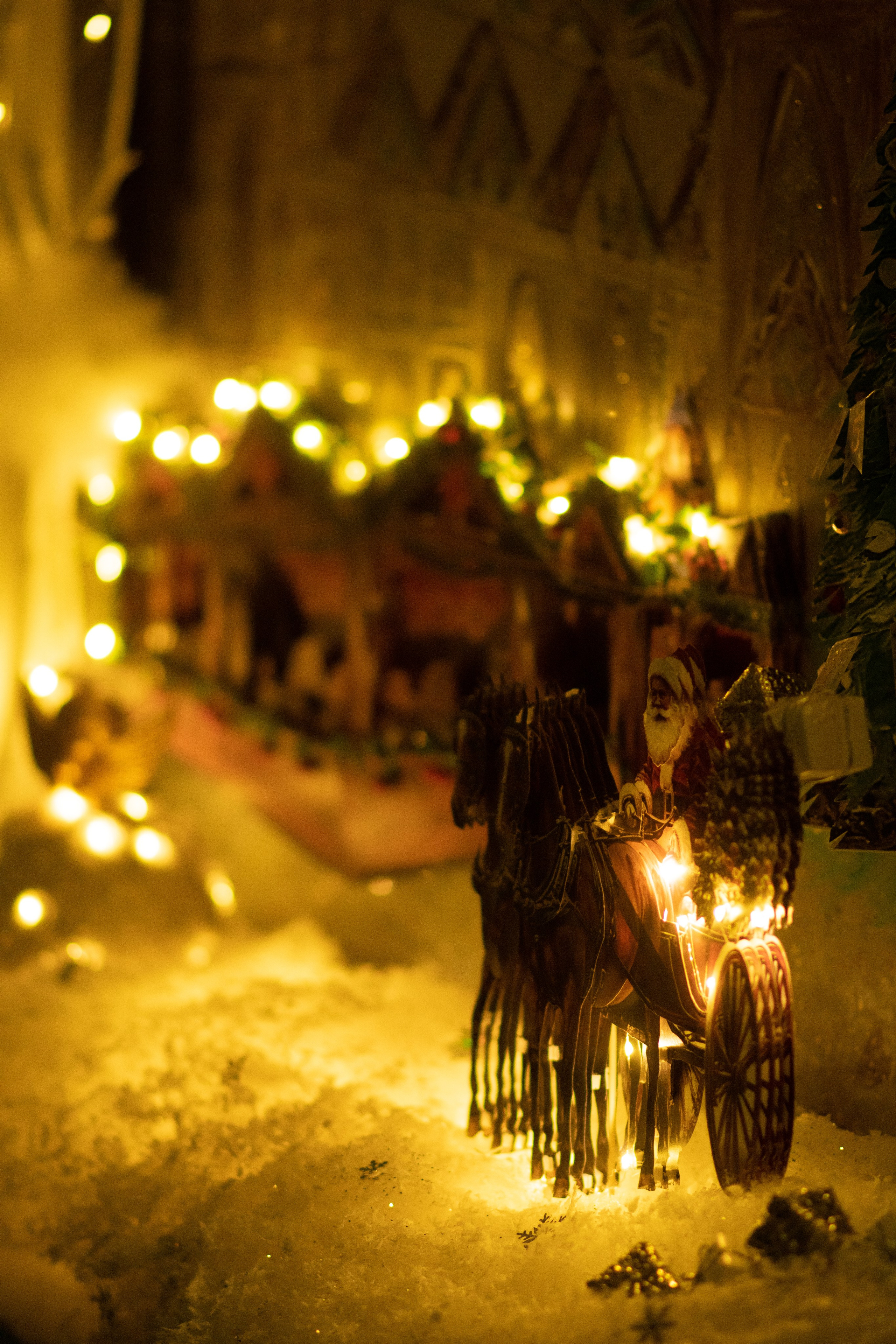 Проект. Семейный и детский фотограф