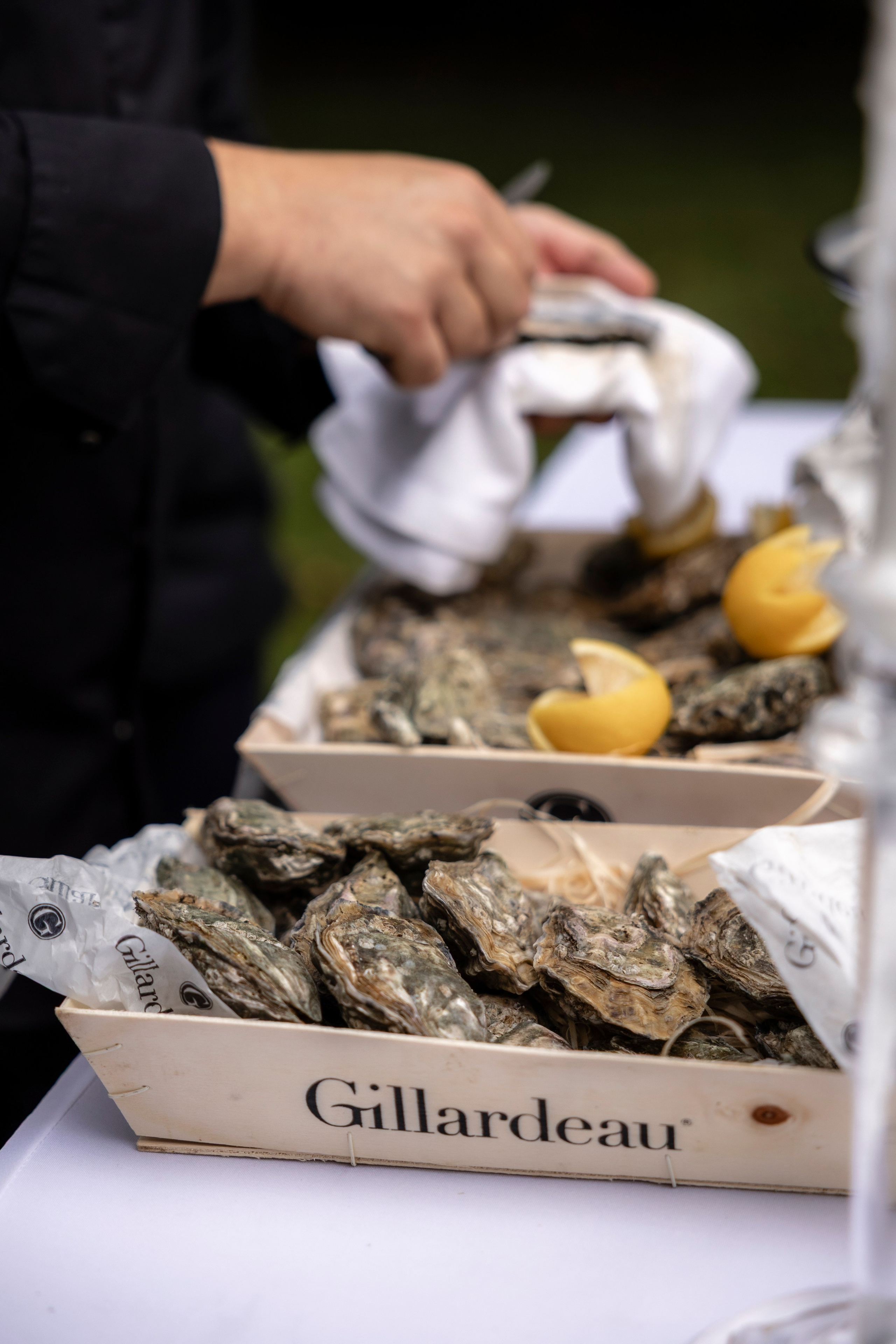 Château La Commanderie, Aude. Eugénie Smirnova — Photographe à Toulouse et dans le Sud-Ouest