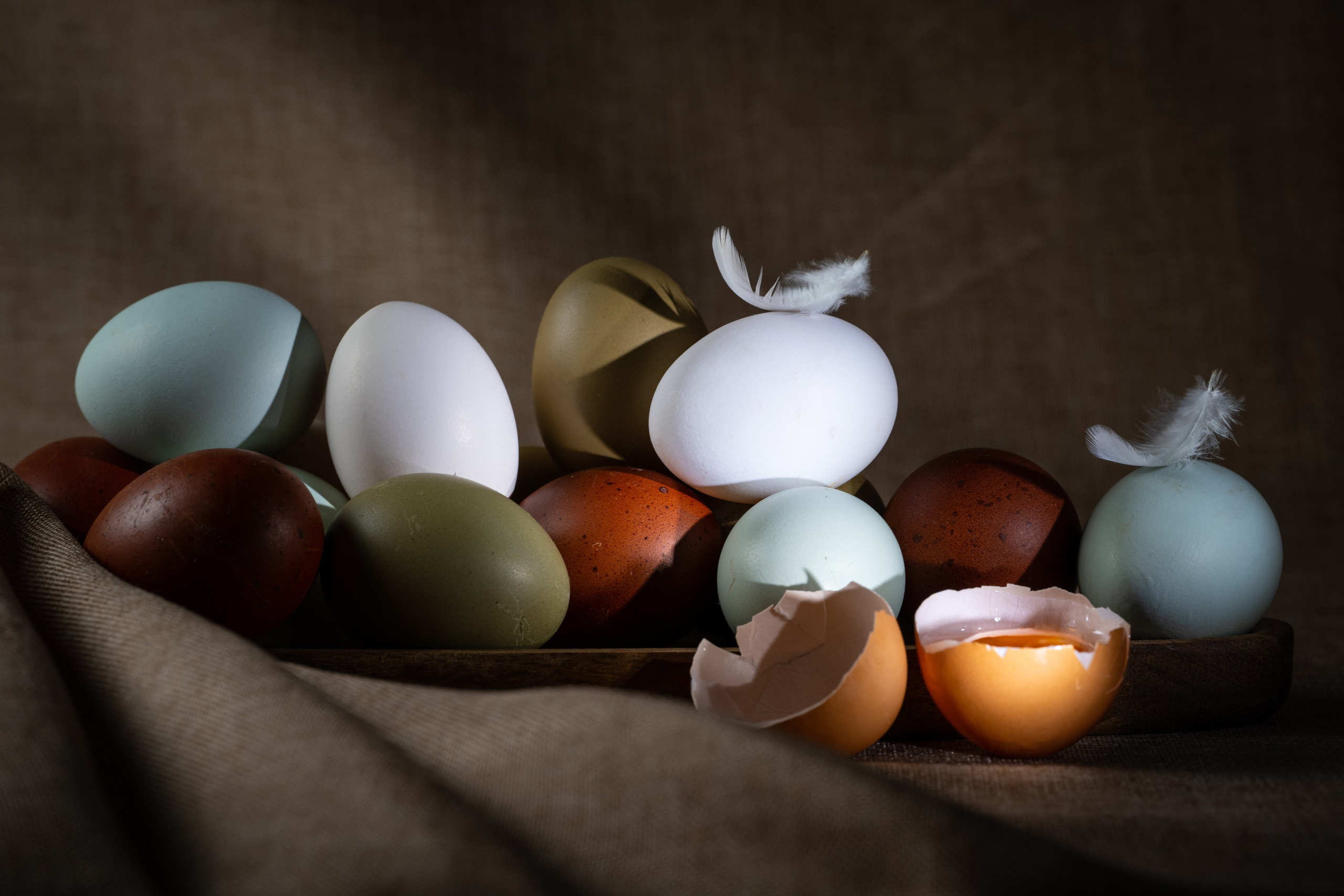 L’uovo. “Gianmaria Coscia fotografo per passione”