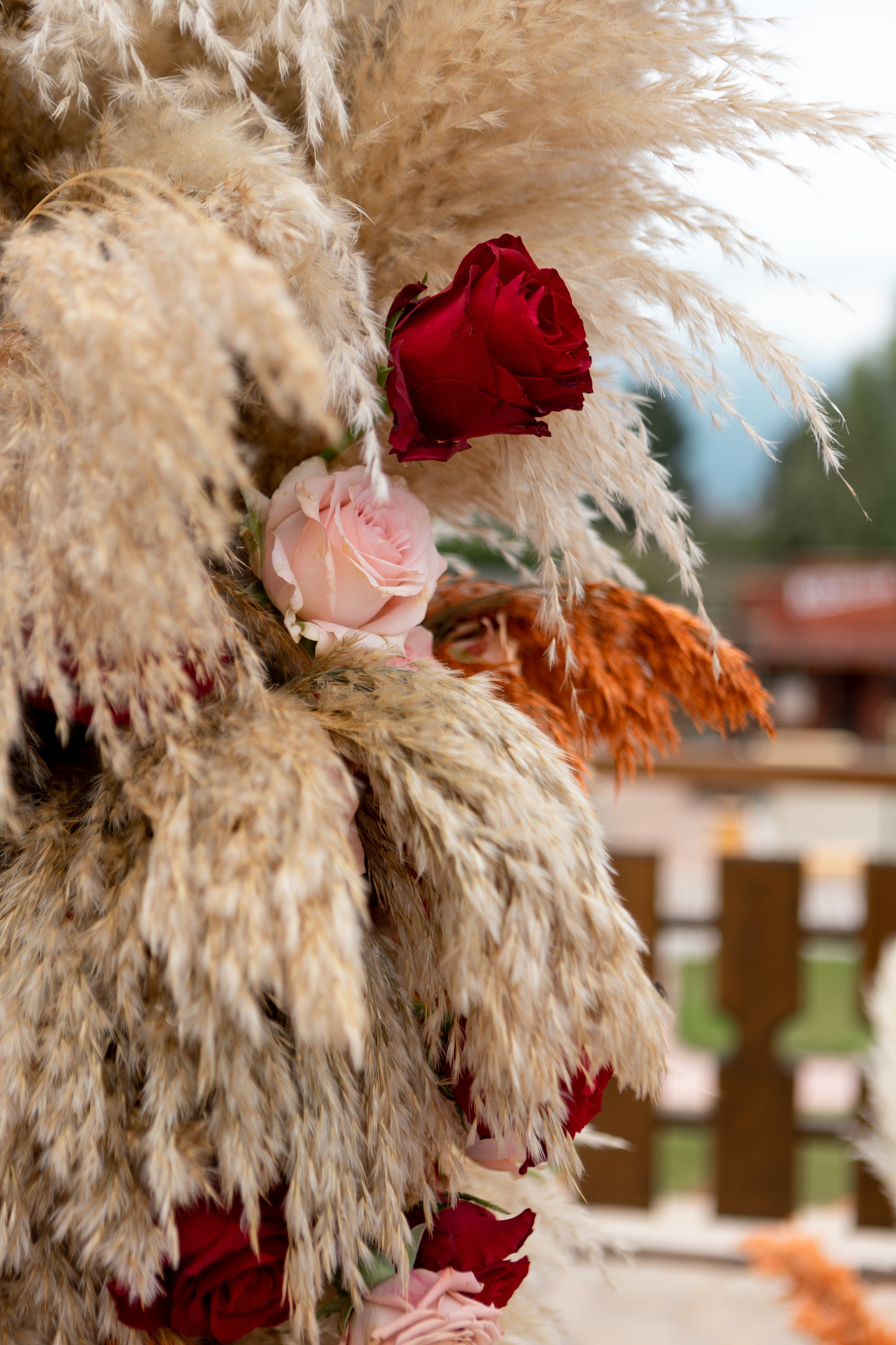 WEDDING 2023. Свадебный и семейный фотограф Жанна Руденко