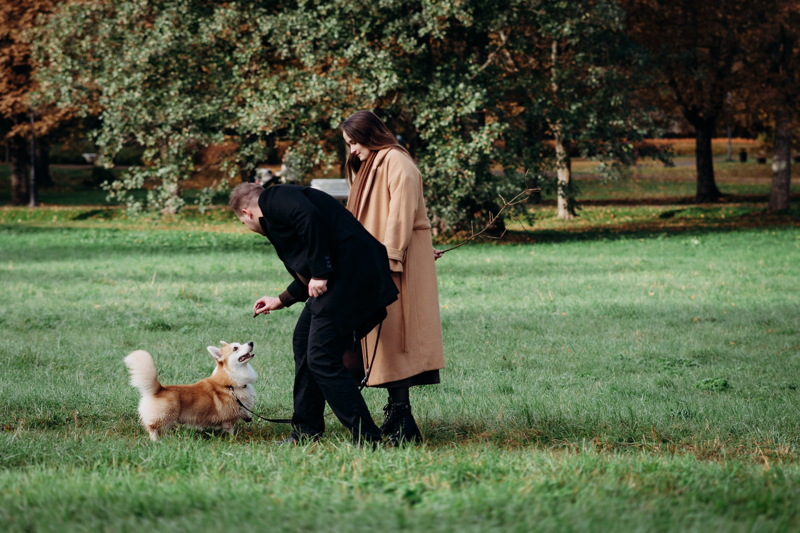 Liisa, Alexander & Marsel. Фотограф-анималист в Таллинне, Катя Лайсаар