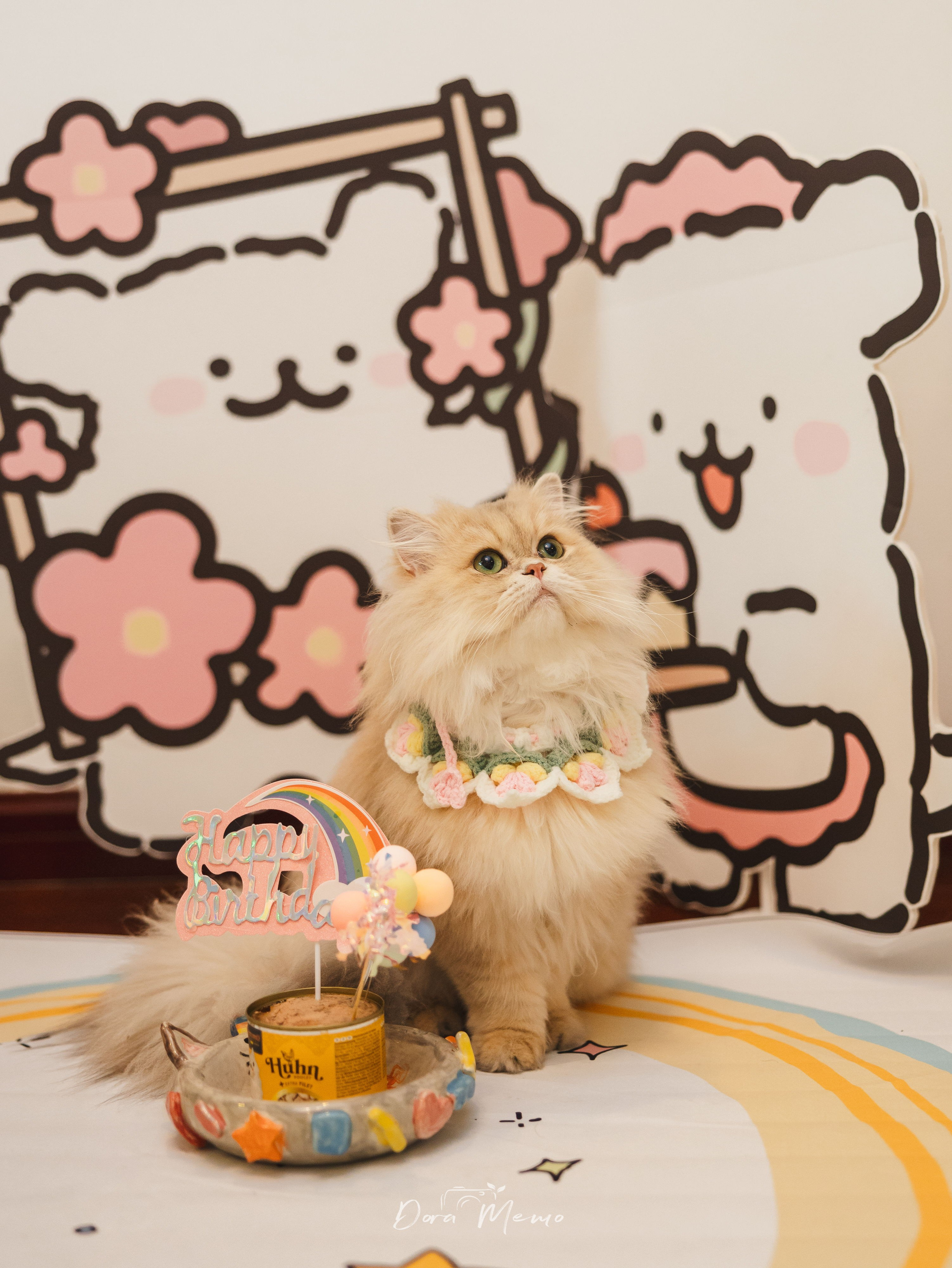 A fluffy cat wearing a flower collar sits beside a small birthday cake.