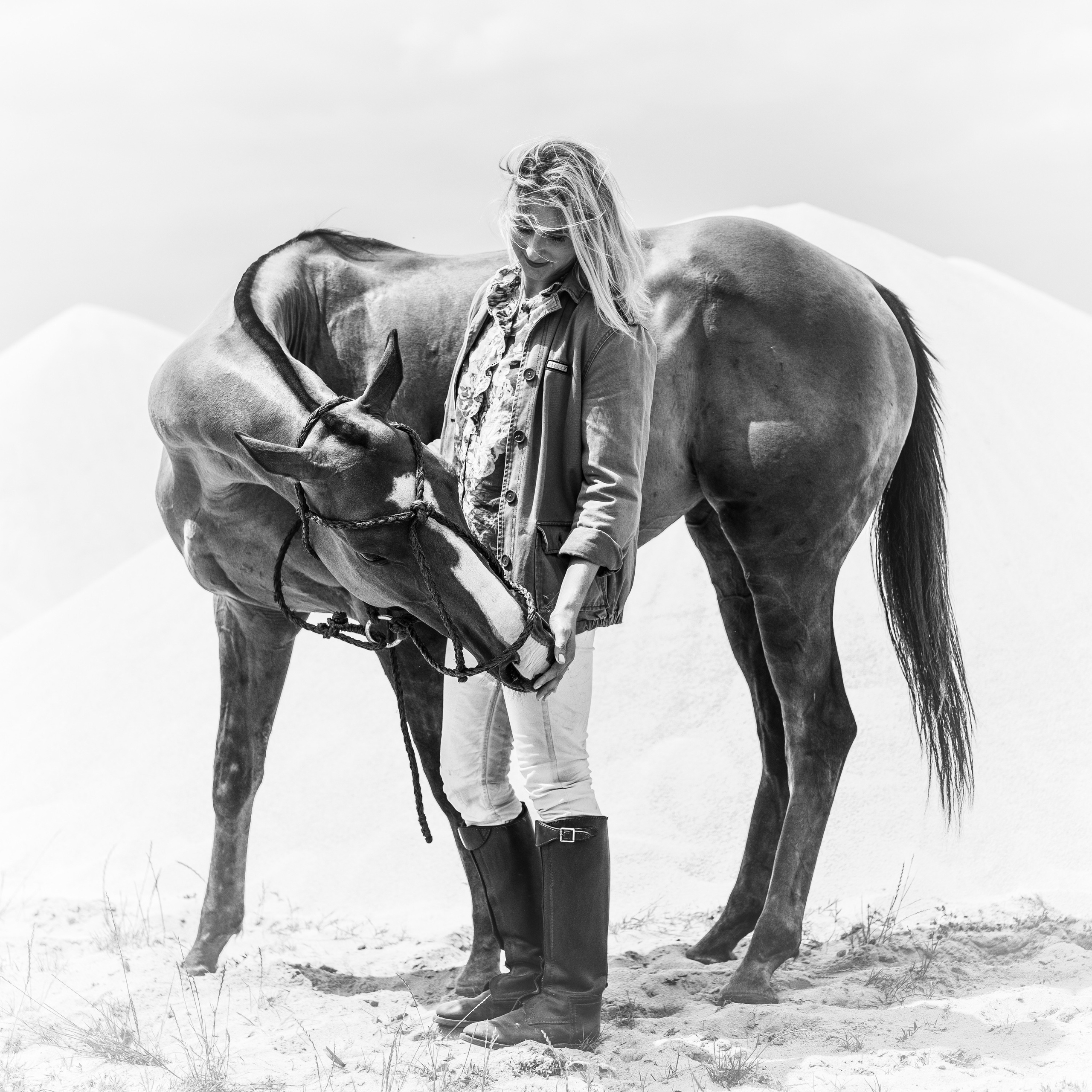 Photo shoot with horses