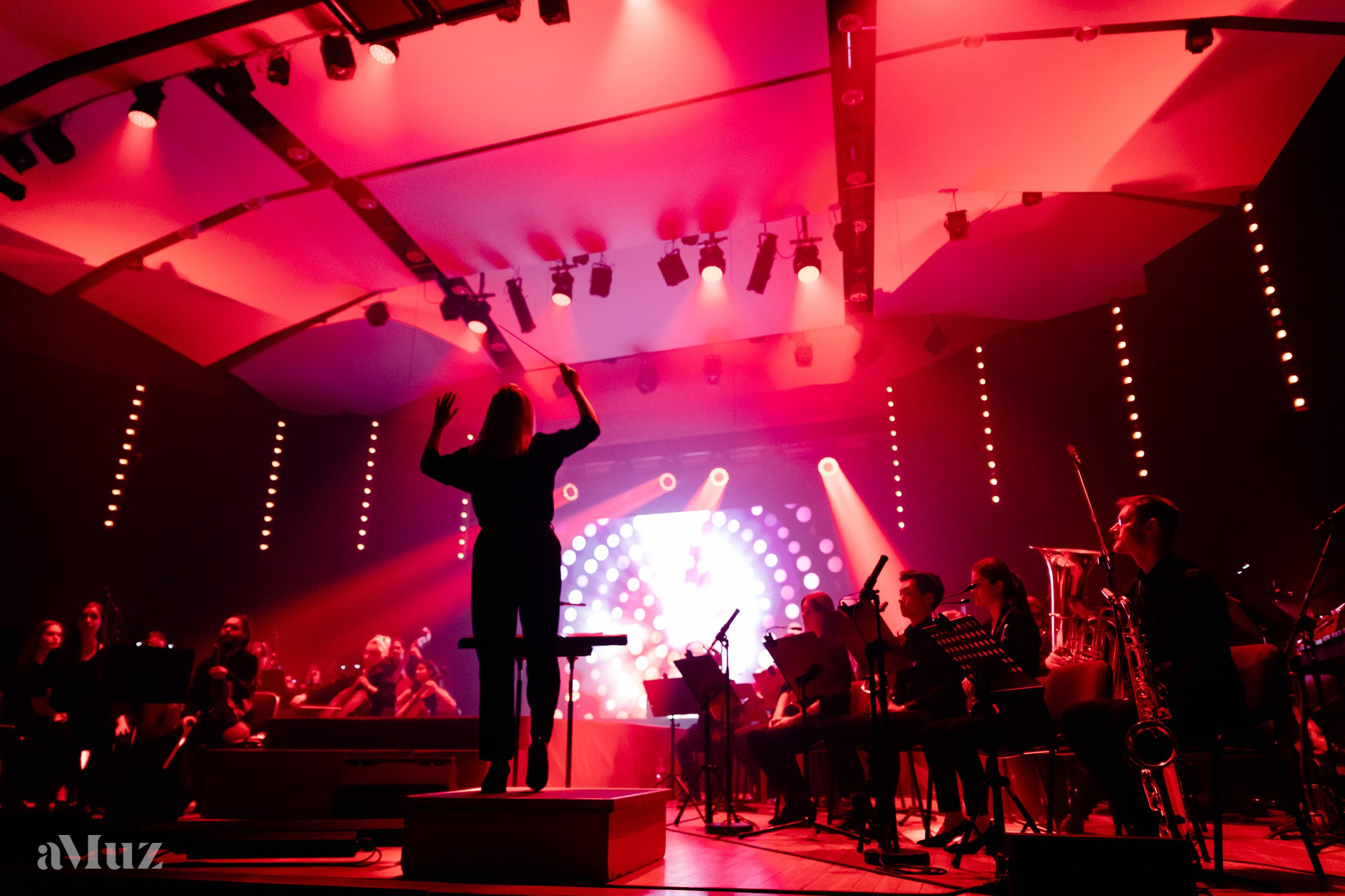 Koncert Amuz.pl. Fotograf Ślubny Warszawa - Sesje Biznesowe Rodzinne Eventy