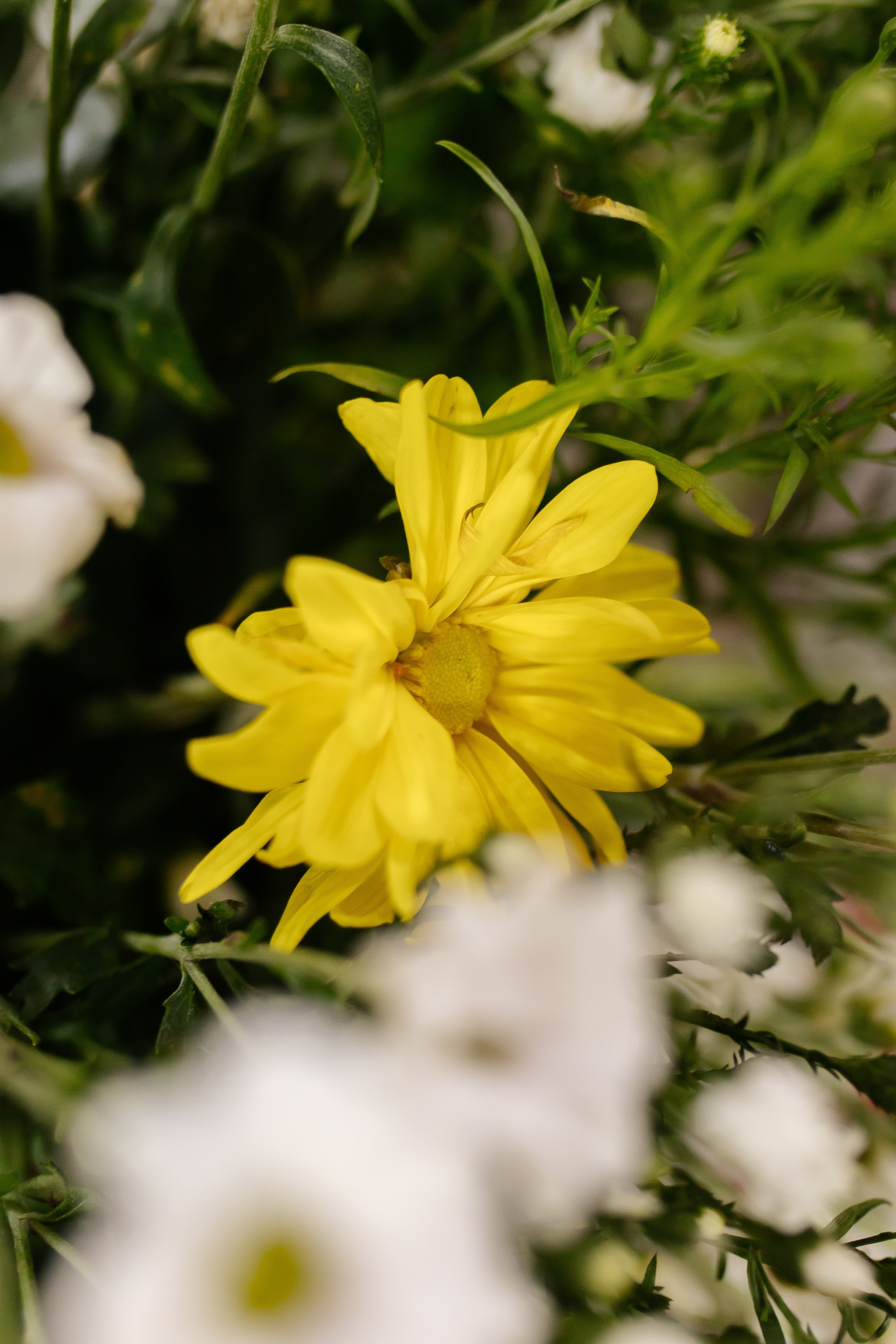 Pedro&Juliana. Edrd — Eduardo Med | Fotografia