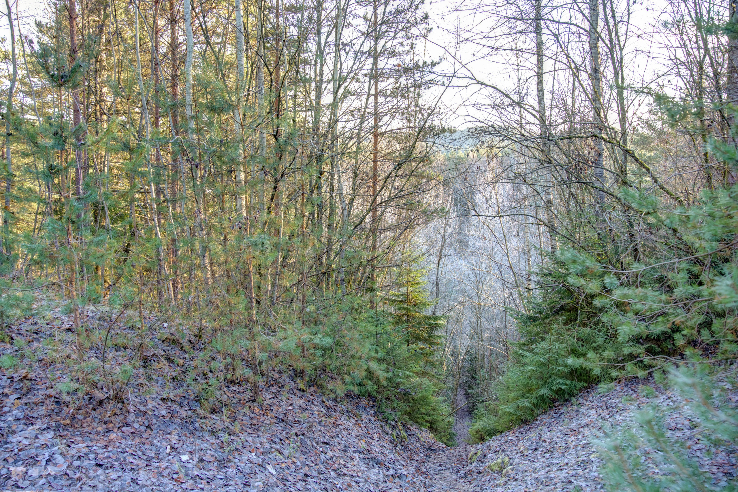 Dronas Antakalnis, Kanklių 10. Elina Sapiega fotografė Vilniuje