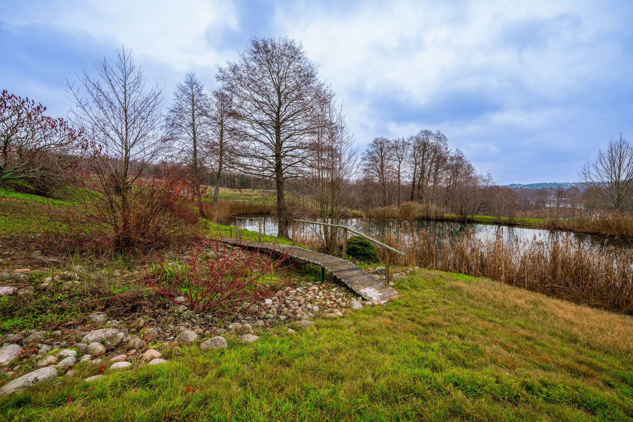 Trakų raj. sodyba. Elina Sapiega fotografė Vilniuje