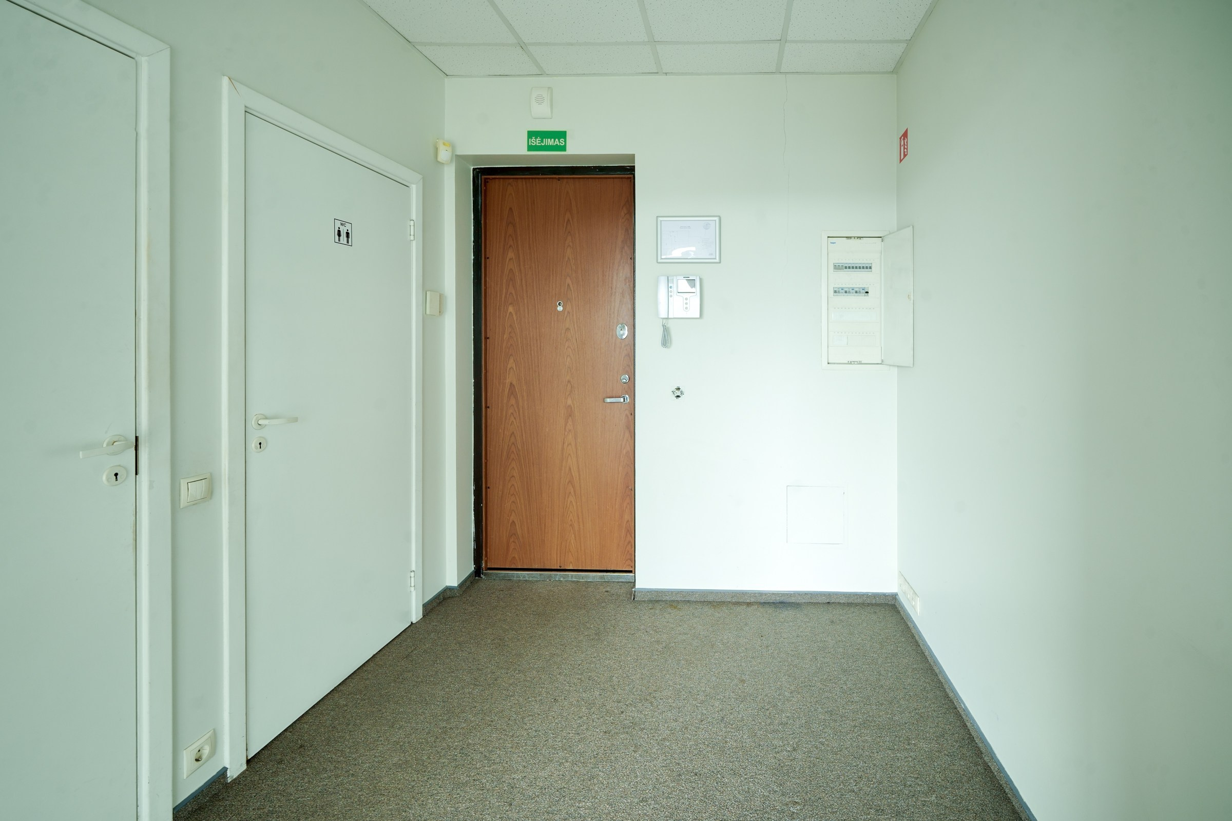 Olimpiečių 1. Elina Sapiega fotografė Vilniuje