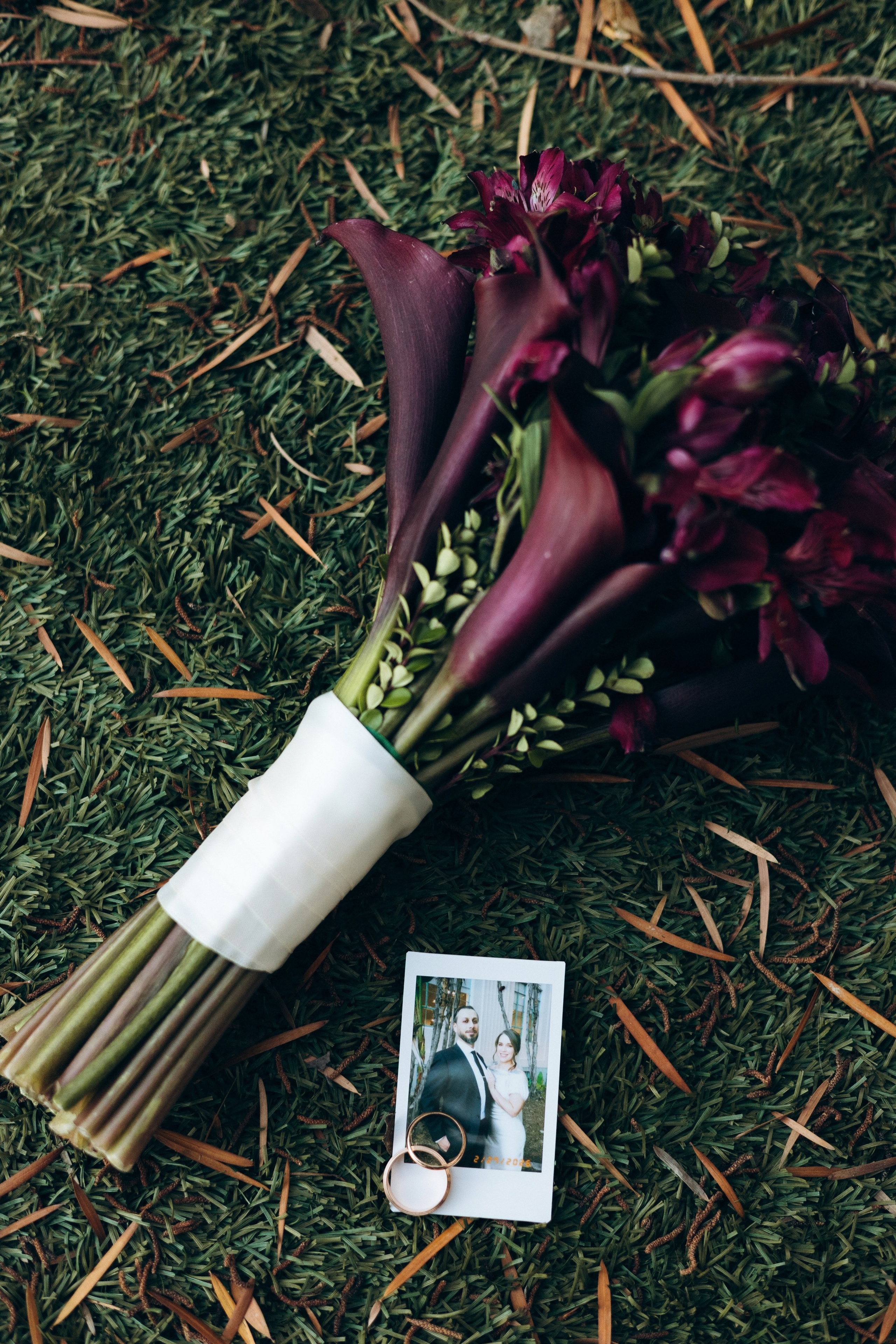 Jessi and Alex. Весільний та сімейний фотограф у Сан-Дієго