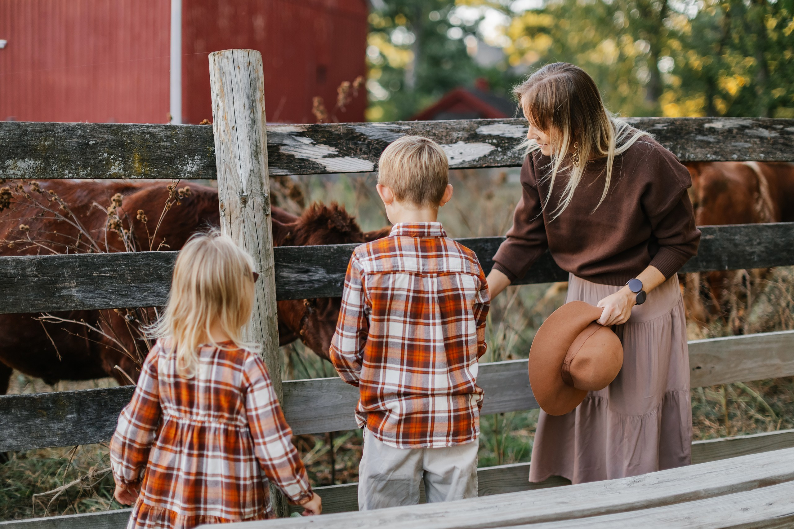 10.05.25 Family Photoshoot. Wedding family event photographer in Chicago Nick Yushevich