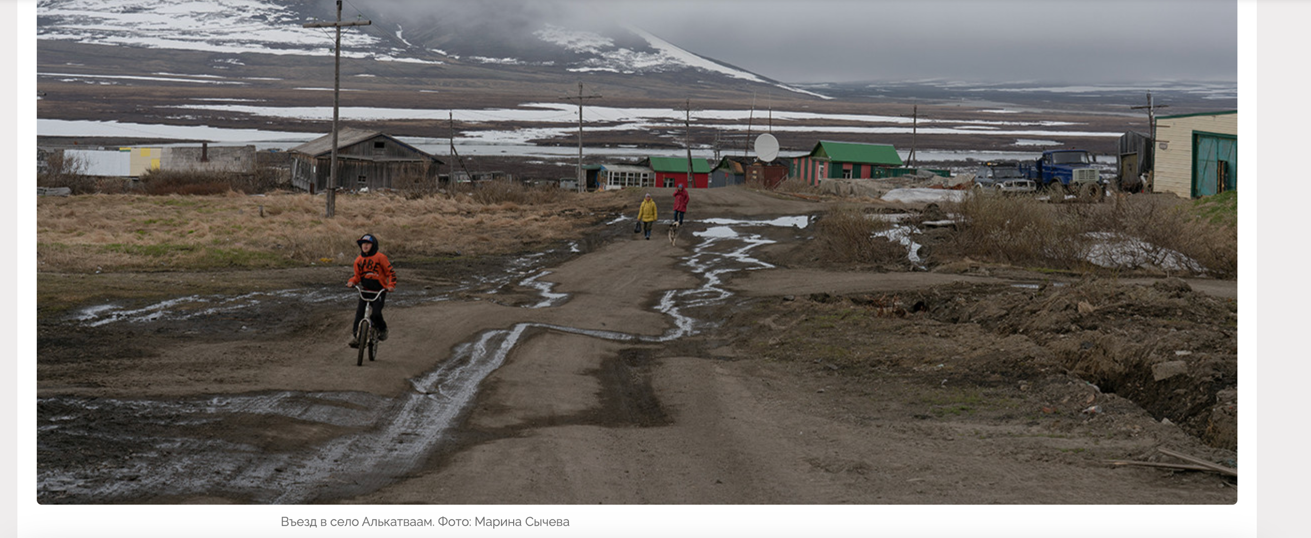 Publications. Marina Sycheva