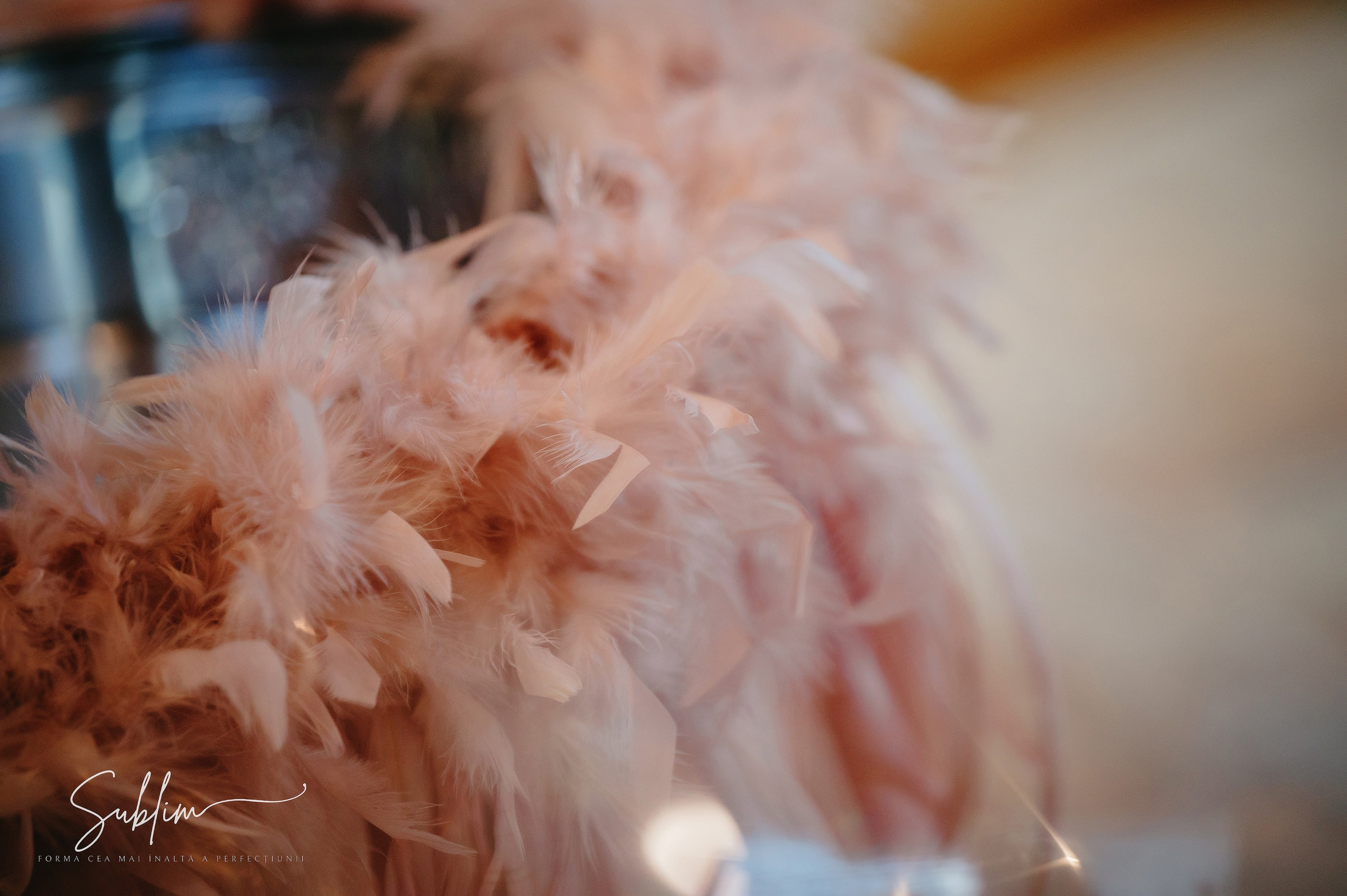 Sublim. Laurentiu Stefan StoryTeller