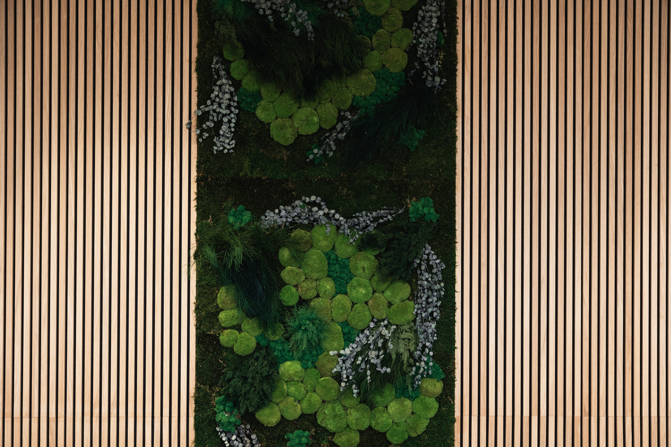 Office. Photographer in Paris — Vitalii Motruk