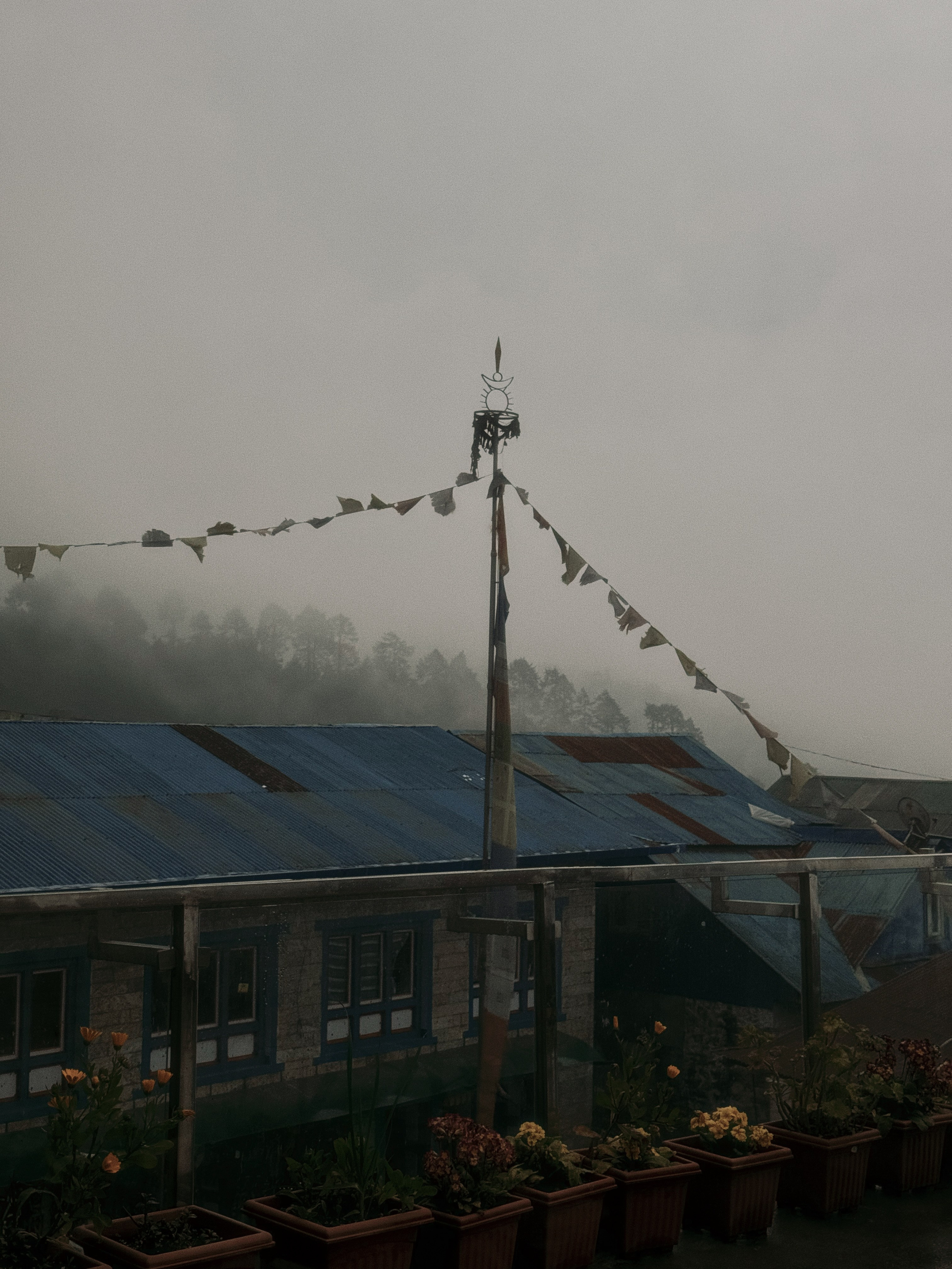 Nepal. Patricia Morenci — Mountain Adventures for the Wild at Heart