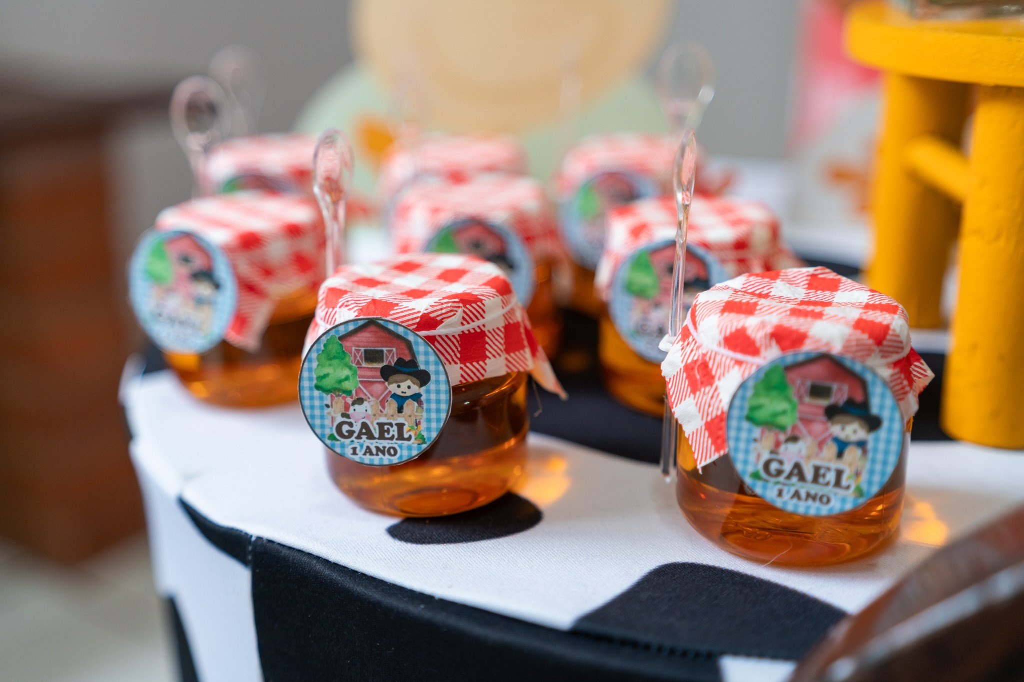 Gael 1 ano — 21/12/2024. Luiz Medeiros Produções