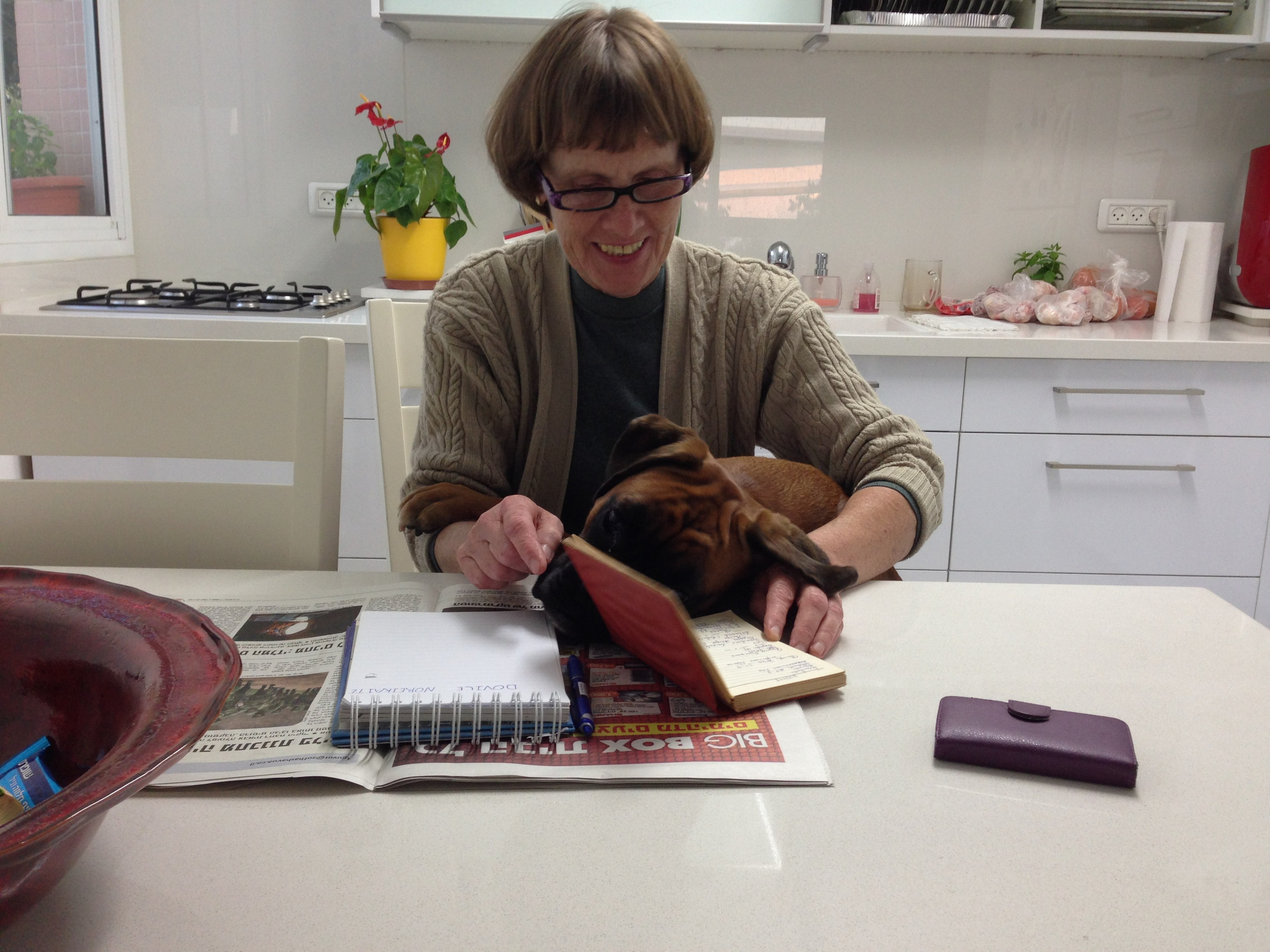 My ״Star״ Boxer Dog