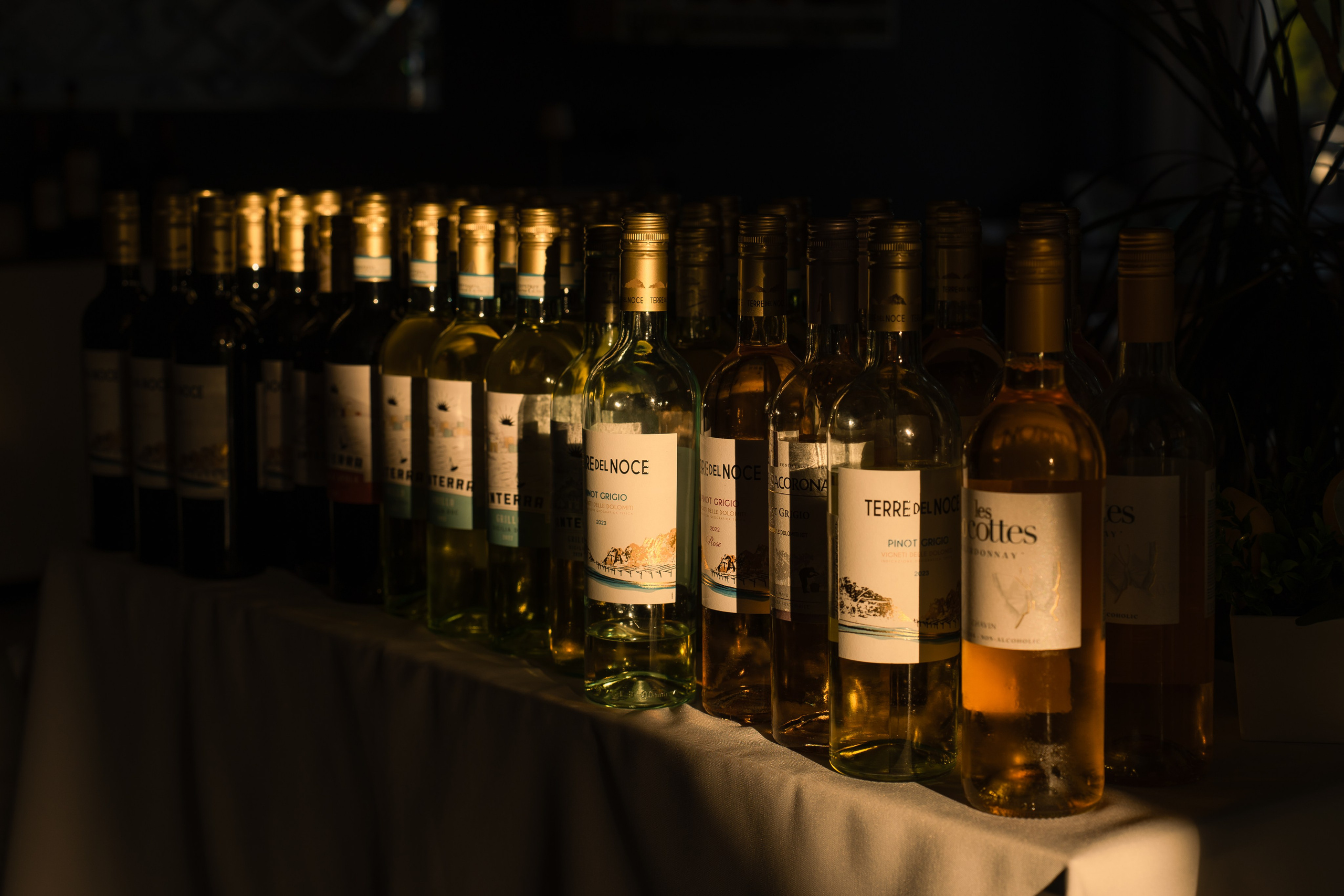 RESTAURANT. Montenegro photographer and videographer