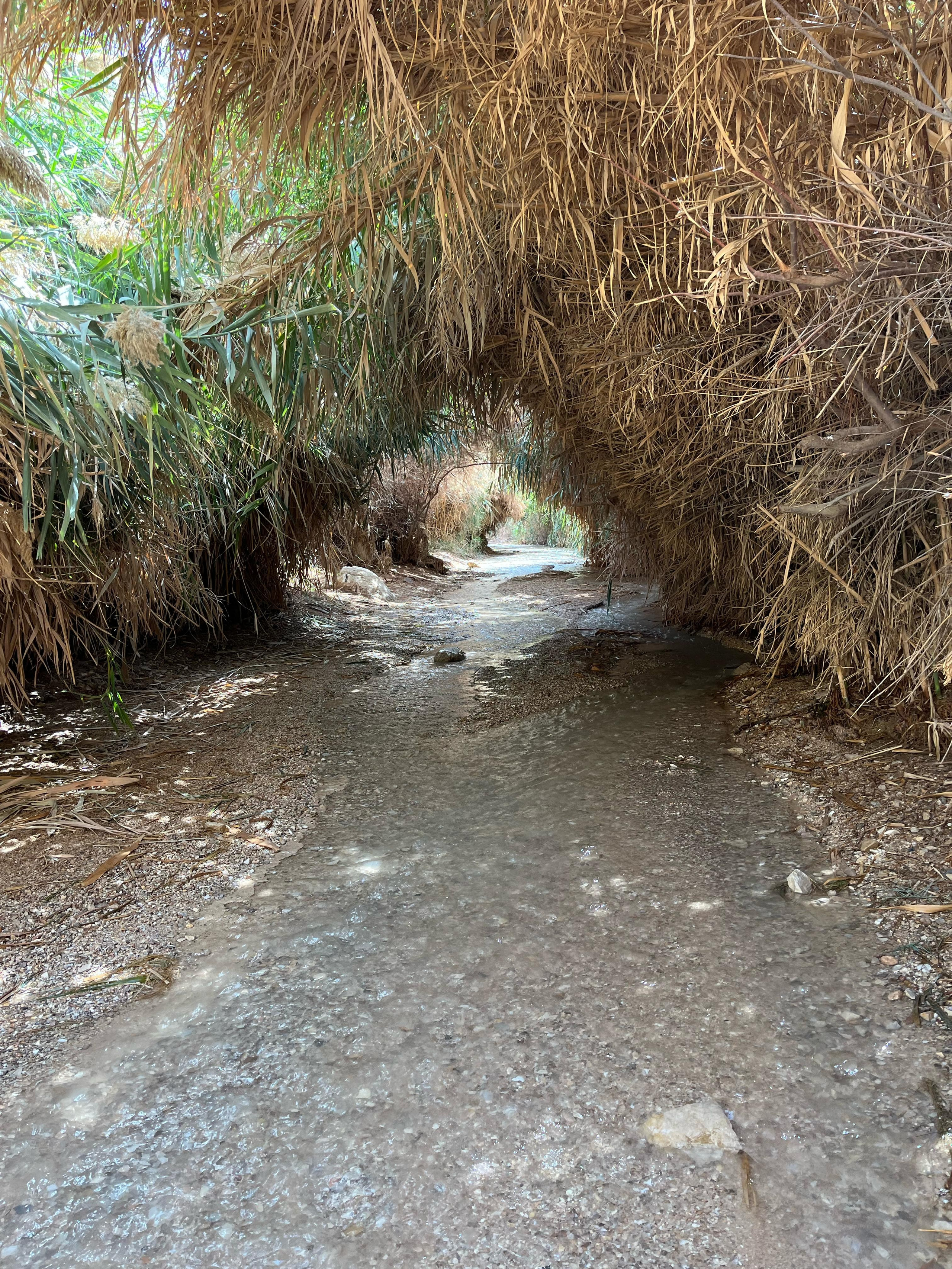 Женский поход 2024 — клуб «Нортман». КРиС «Нортман»