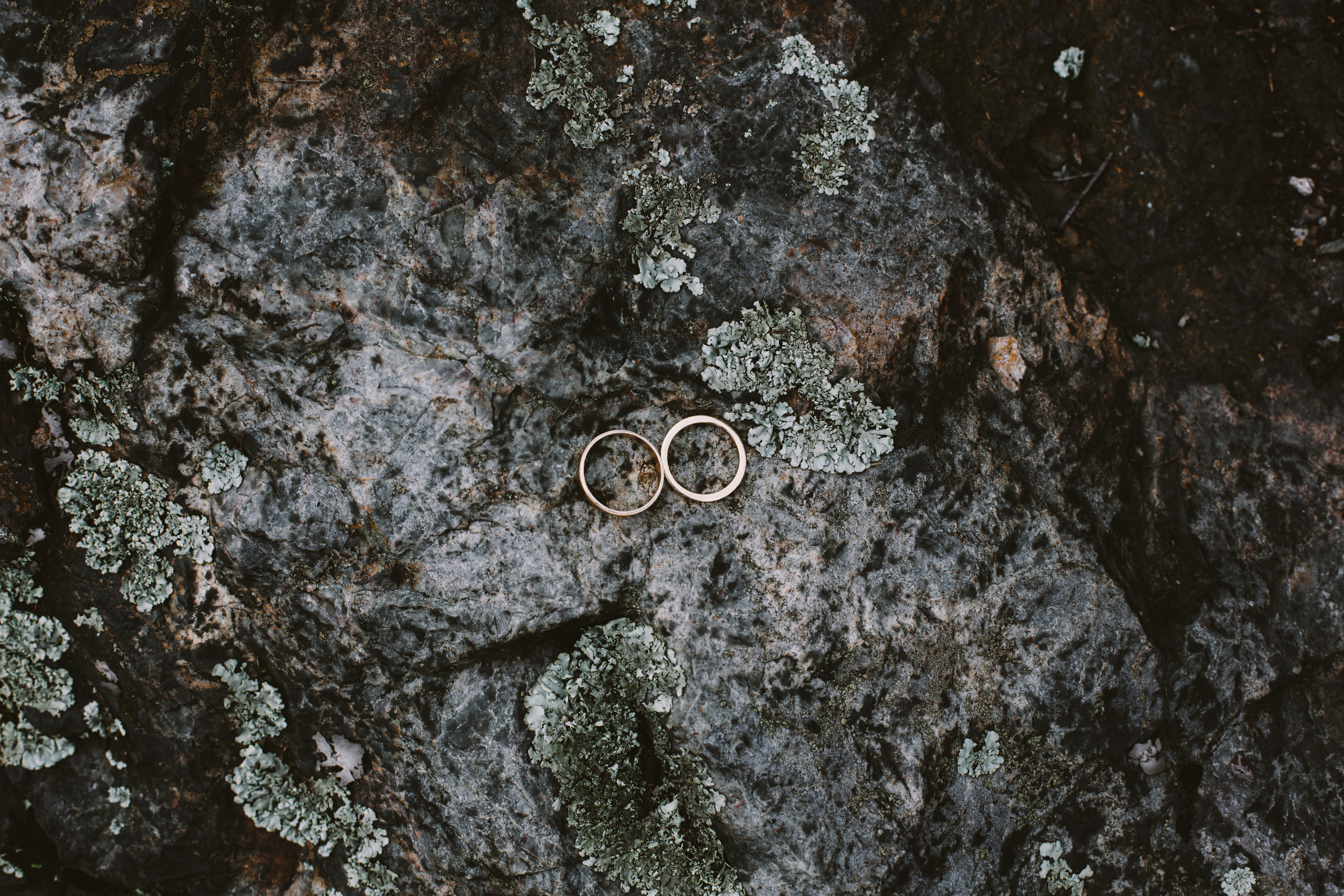 P&V wedding. Wedding and portrait photographer in Poland Vitali Frozen