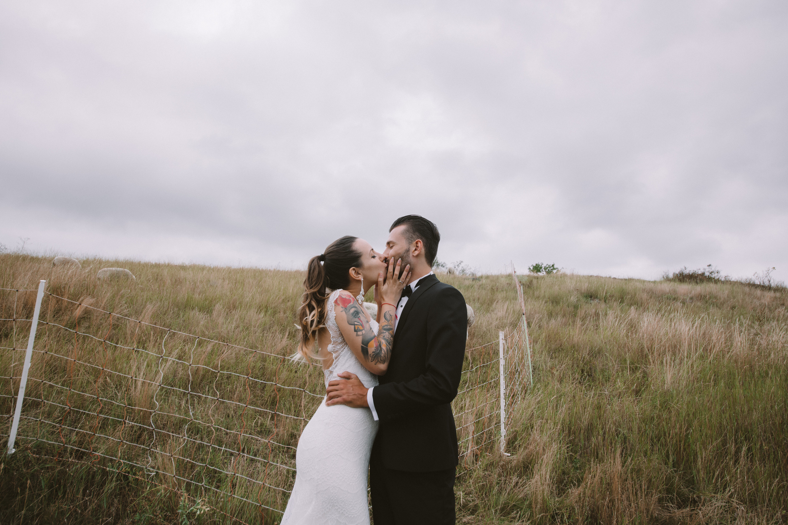 P&V wedding. Wedding and portrait photographer in Poland Vitali Frozen