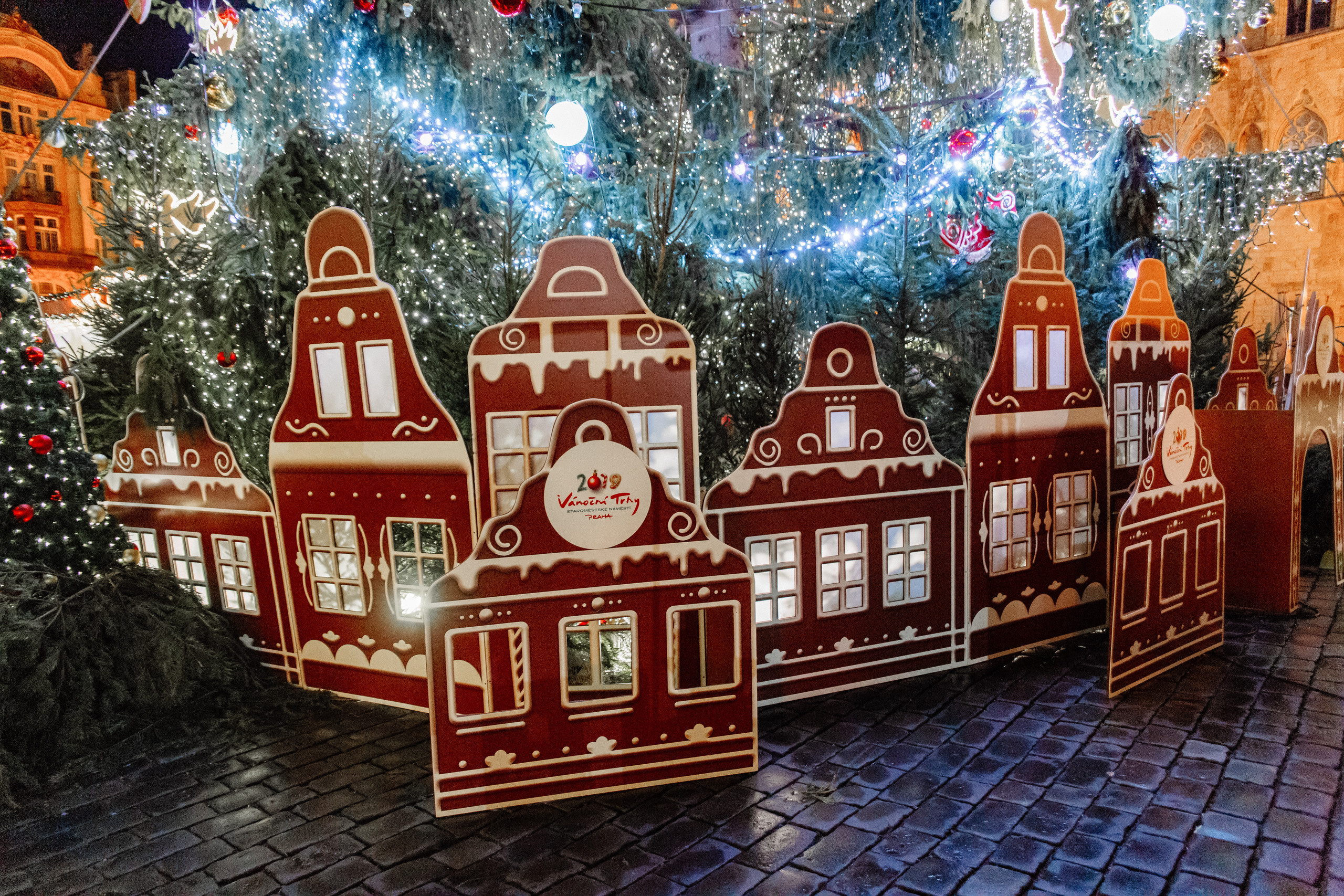 Christmas elopement of a couple in Prague. Wedding and portrait photographer in Poland Vitali Frozen
