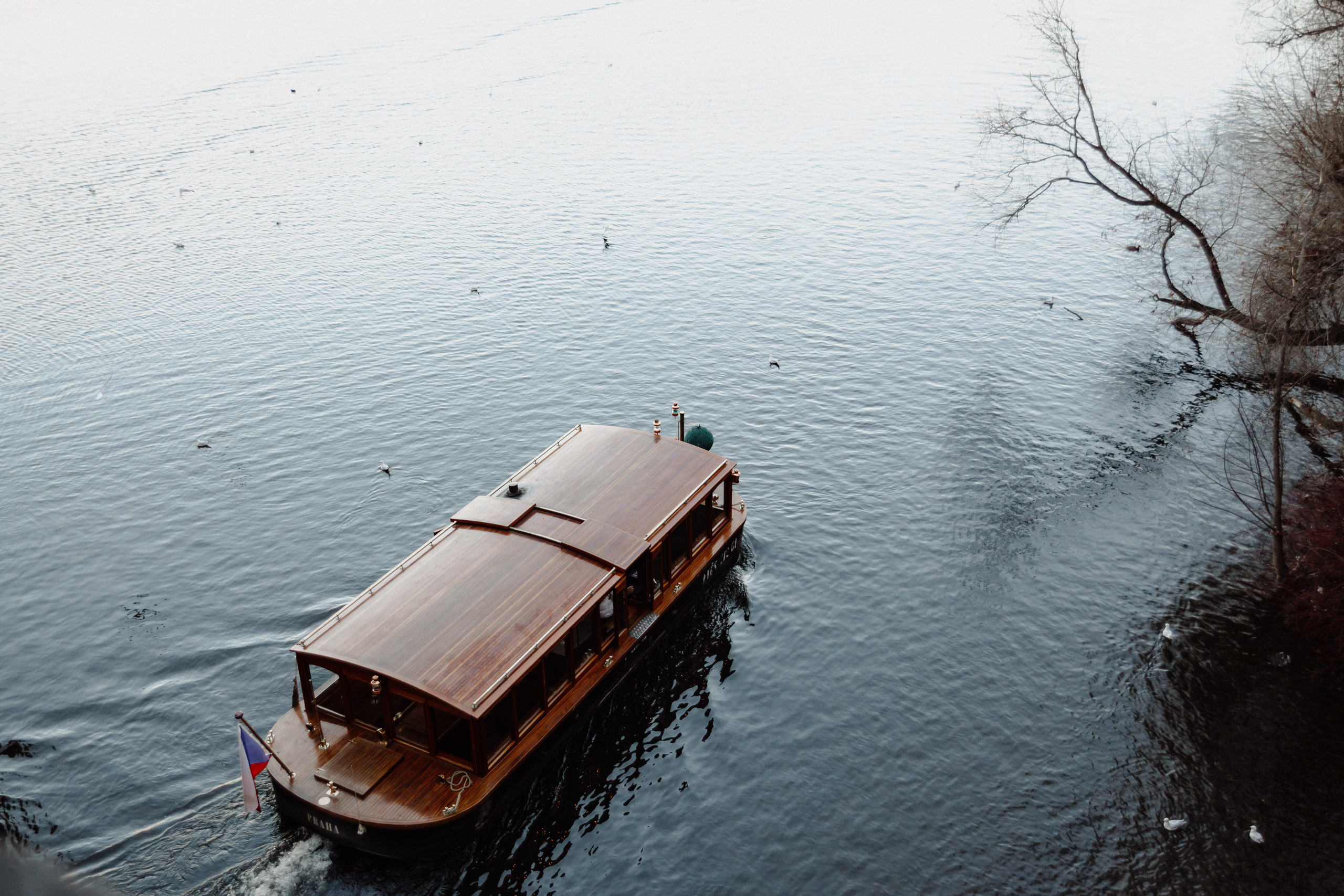 Christmas elopement of a couple in Prague. Wedding and portrait photographer in Poland Vitali Frozen