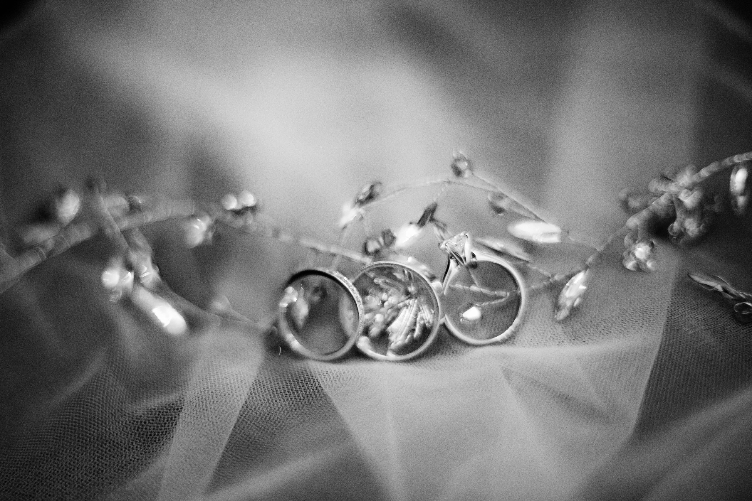 T&O wedding. Wedding and portrait photographer in Poland Vitali Frozen