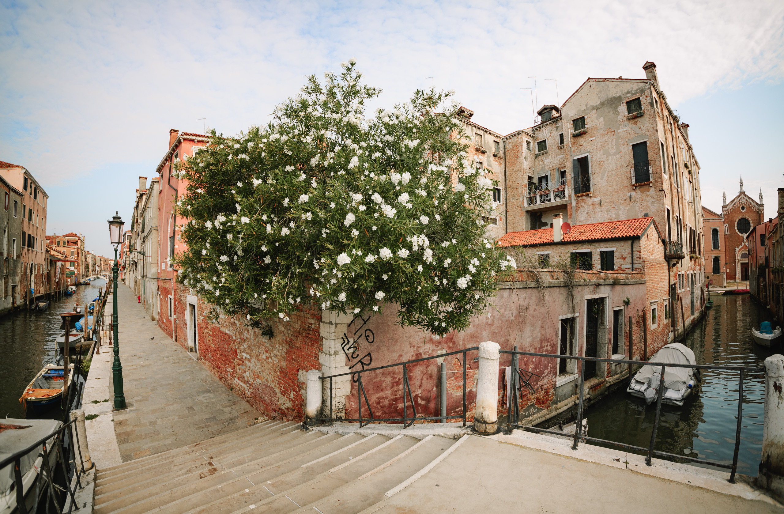 A&L elopement. Wedding and portrait photographer in Poland Vitali Frozen