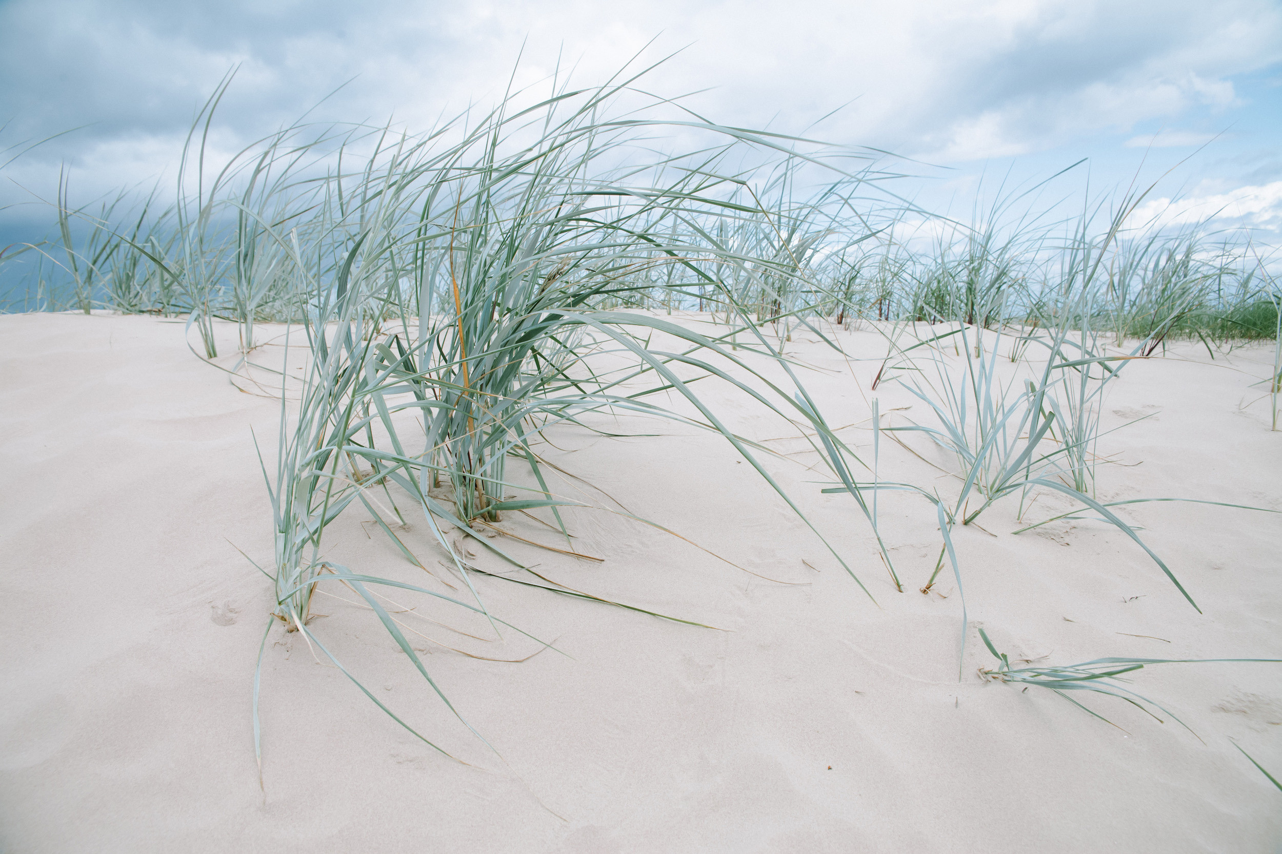 Wedding in Jurmala. Wedding and portrait photographer in Poland Vitali Frozen