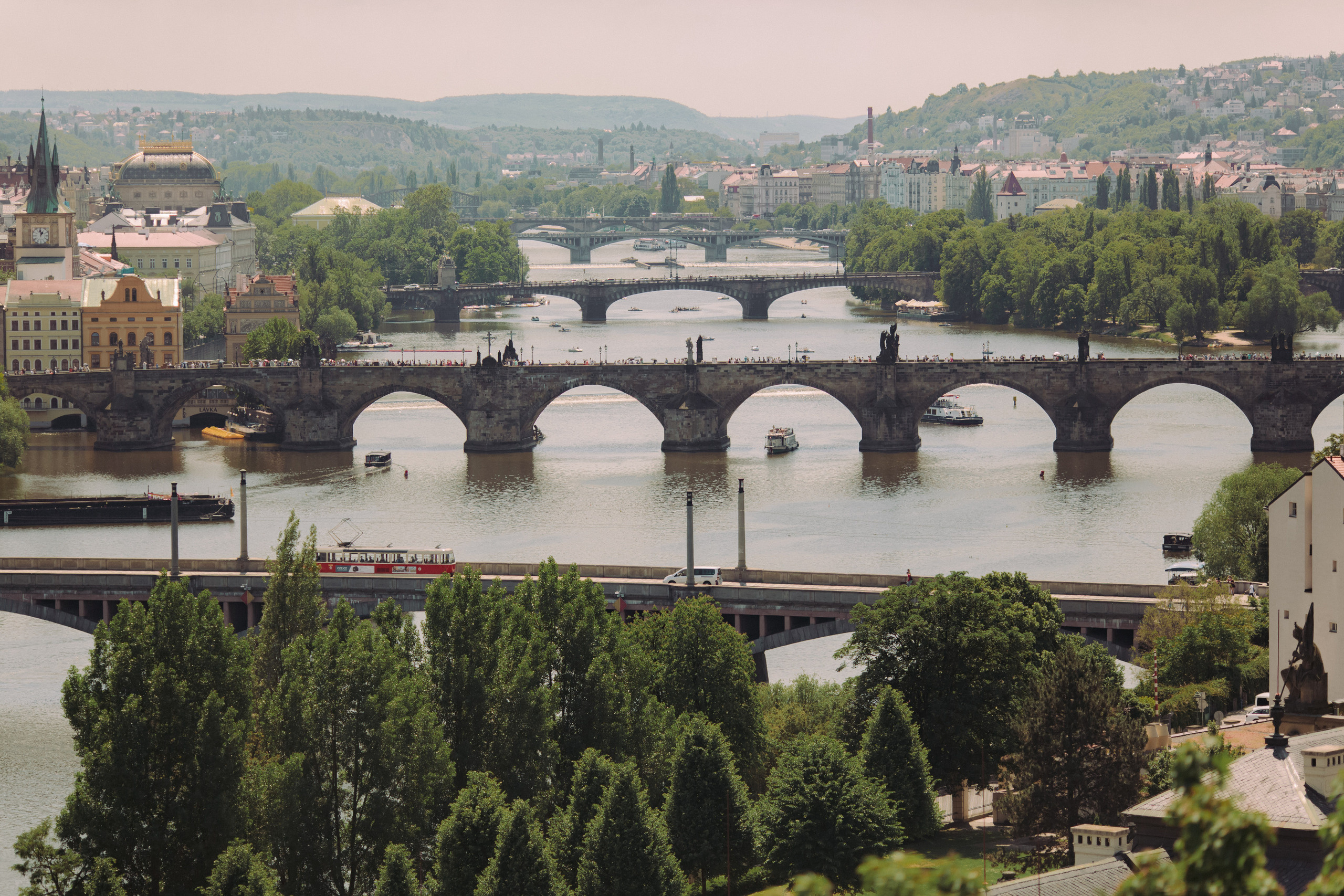 D&K pre-wedding. Wedding and portrait photographer in Poland Vitali Frozen