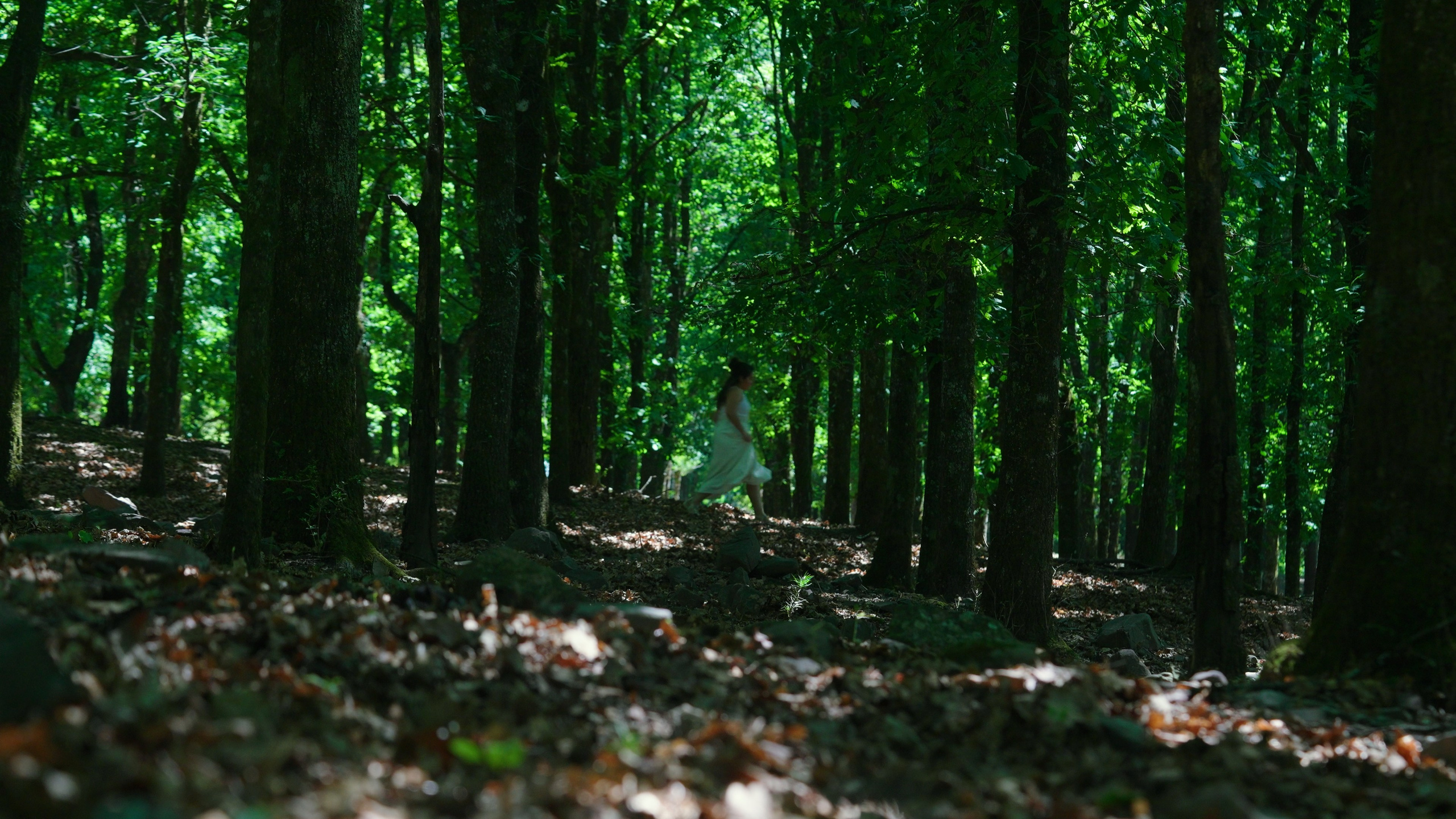 VIDEOCLIP «Río». Cuarta Pared