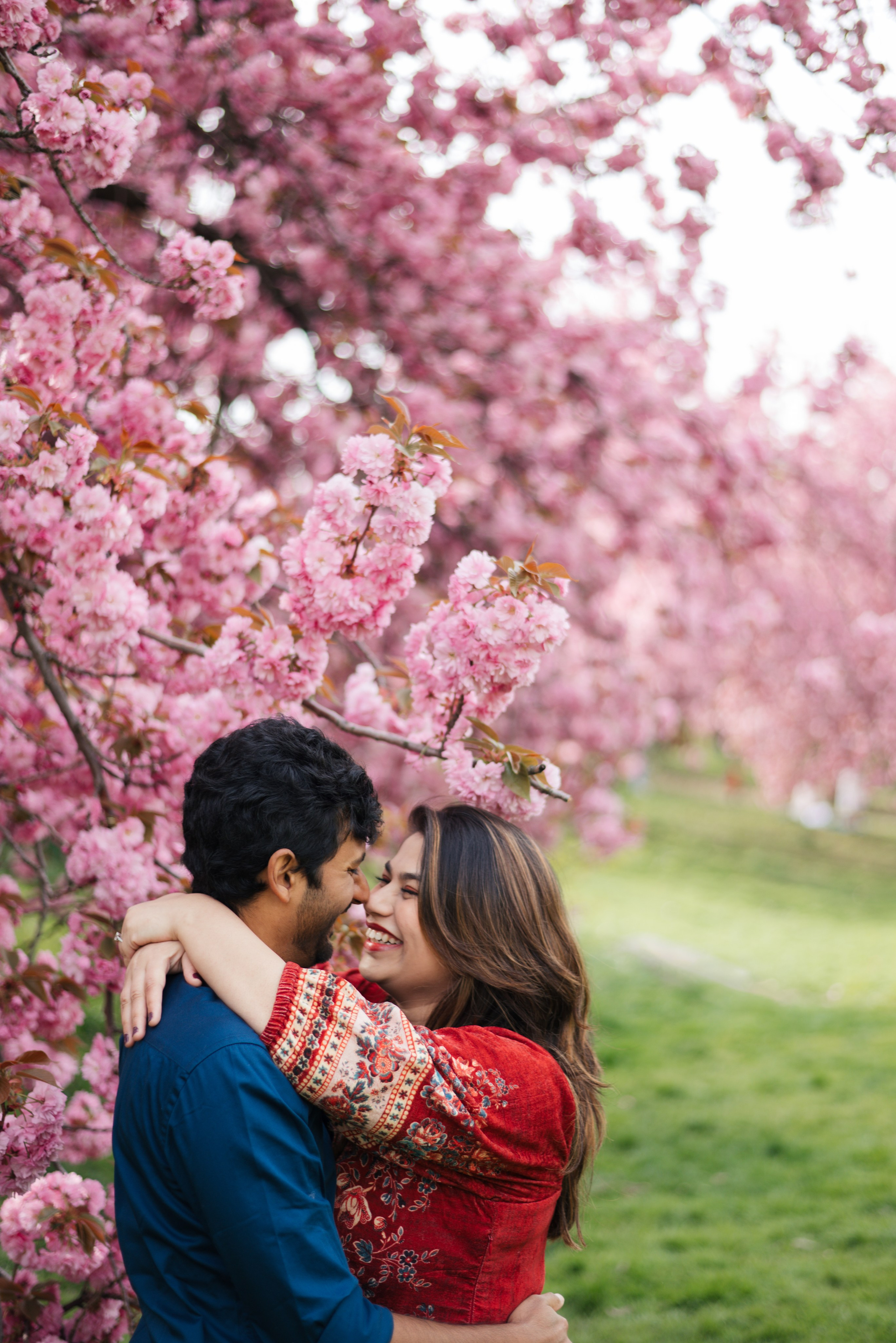 Cherry Blossom. Irina Goncharenko — NYC Photographer