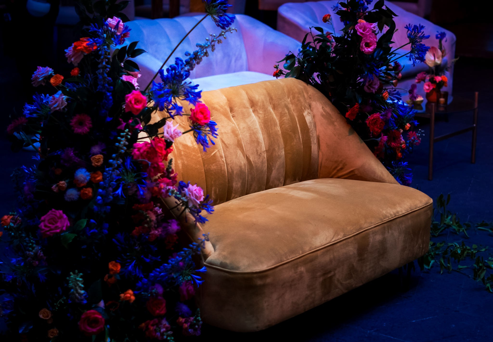 Aagya & Kishore. Wedding and family photographer in Mexico City