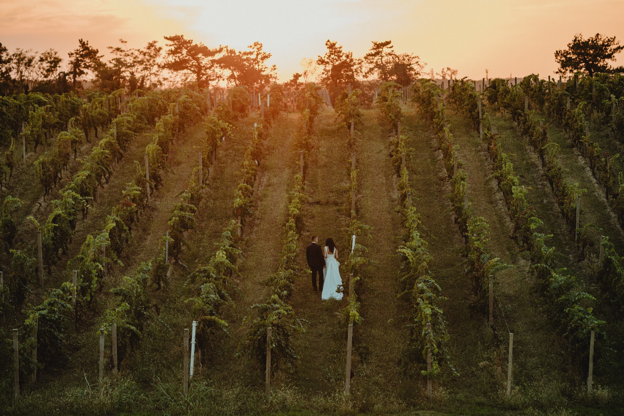 Portfolio. Wedding photographer based in Novi Sad, Marko Milivojevic