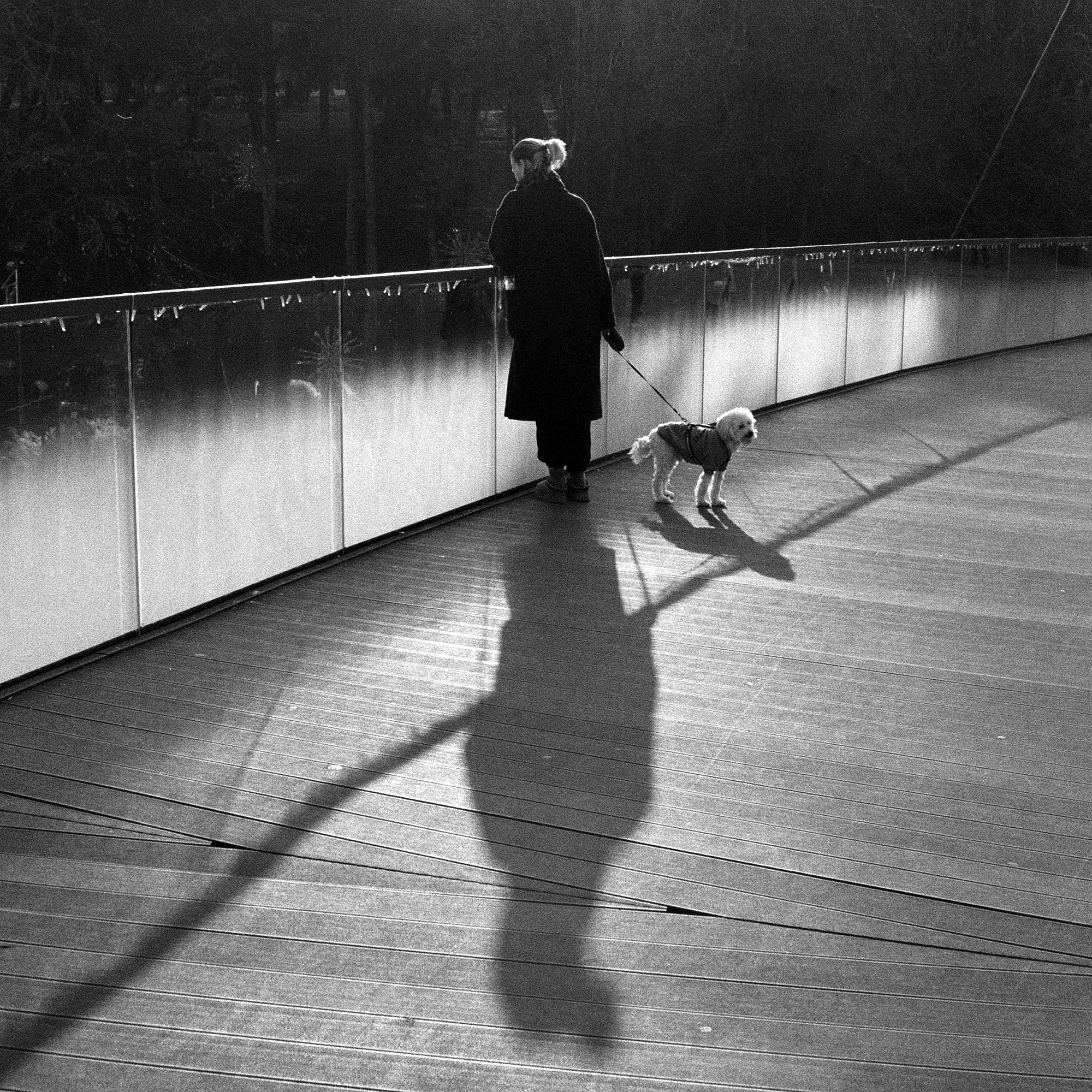 Analog. Photography by Mircea Maieru