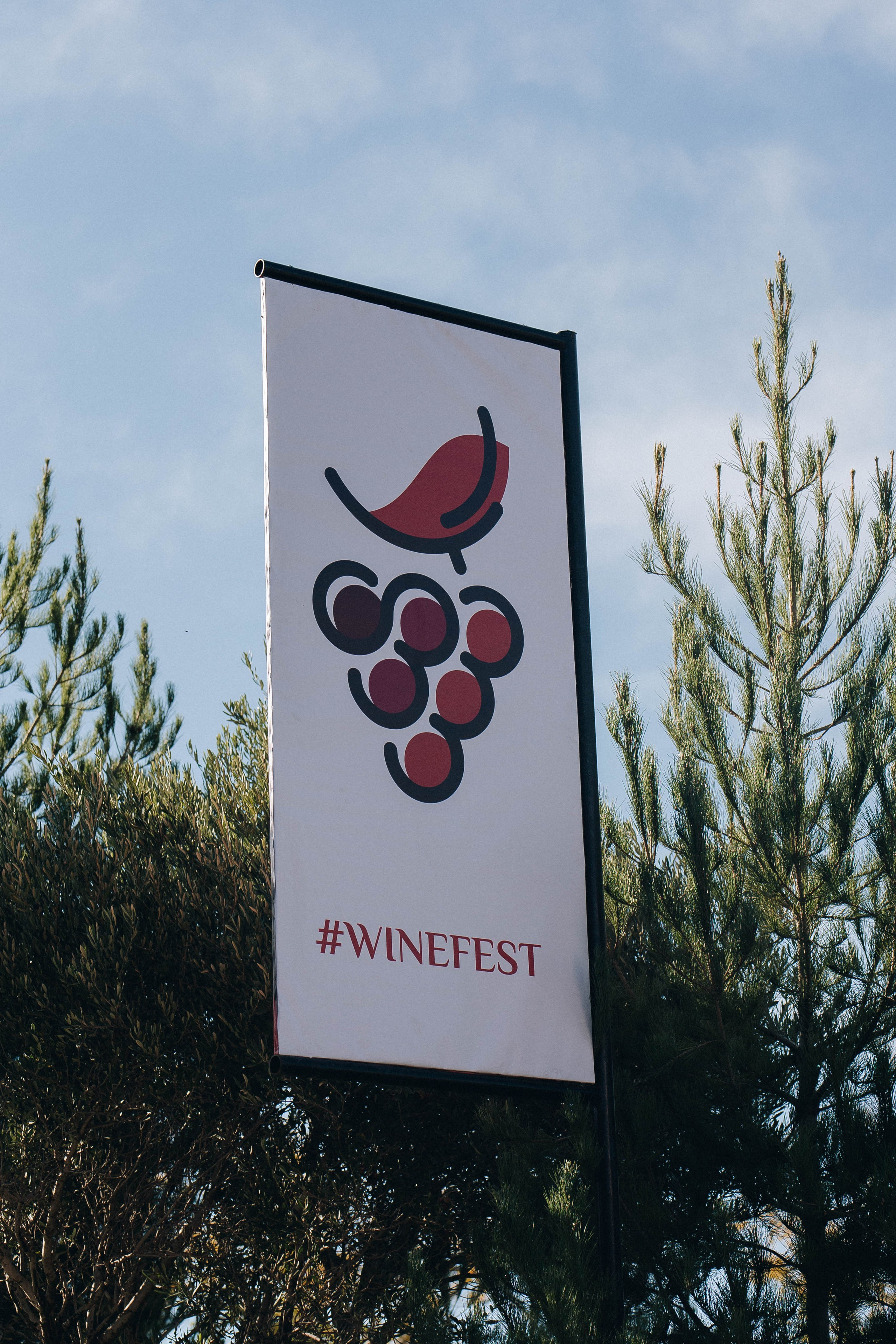 MEYSARI WINE FESTIVAL. Wedding&Event photographer Ismail Rzayev in Baku