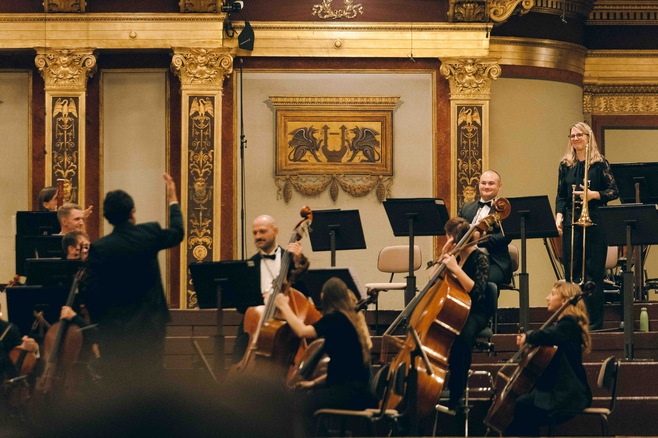 MUSIKVEREIN (VIENNA). Wedding&Event photographer Ismail Rzayev in Baku