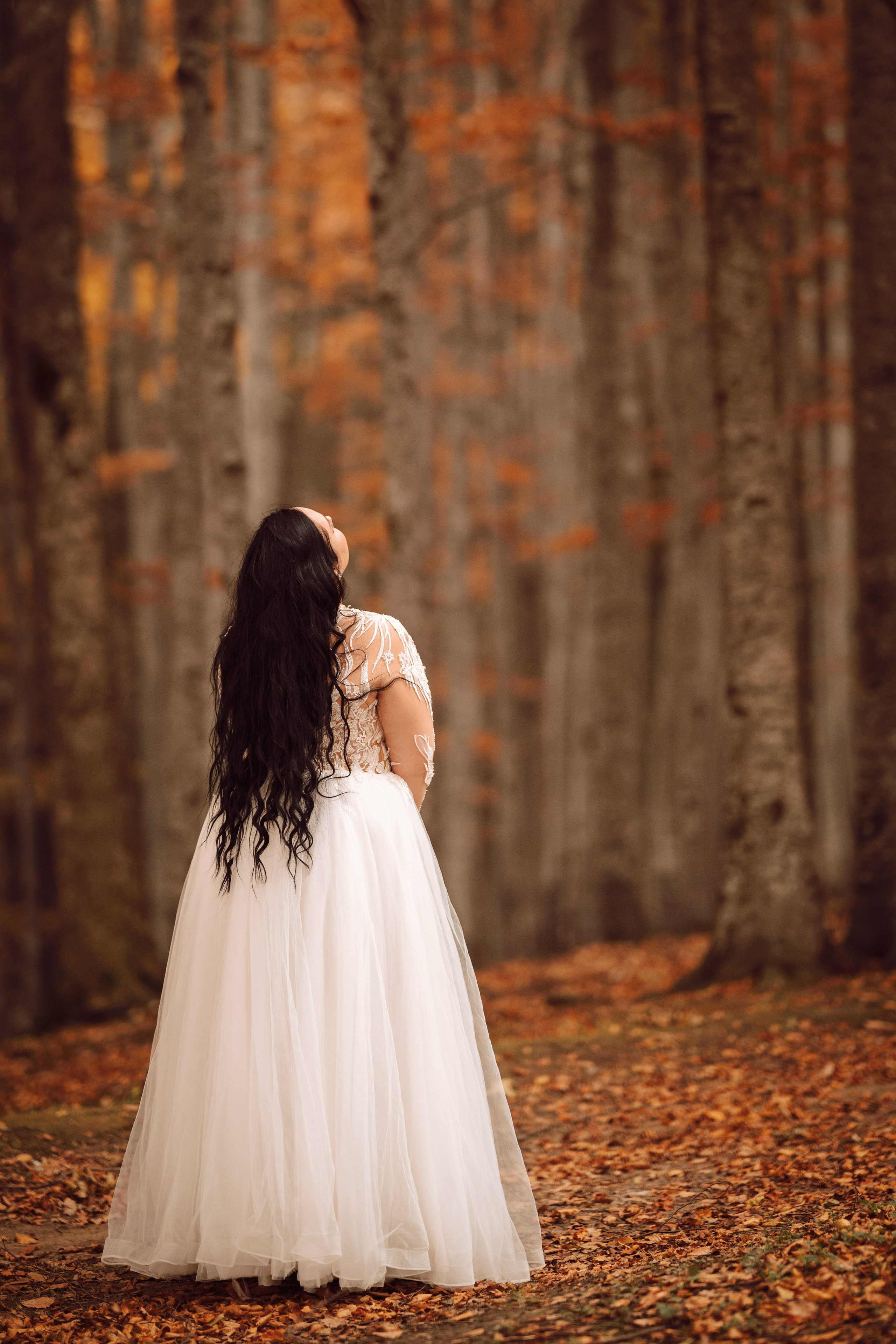 Catalina & Catalin. The Catalins Events — Wedding Photography & Videography