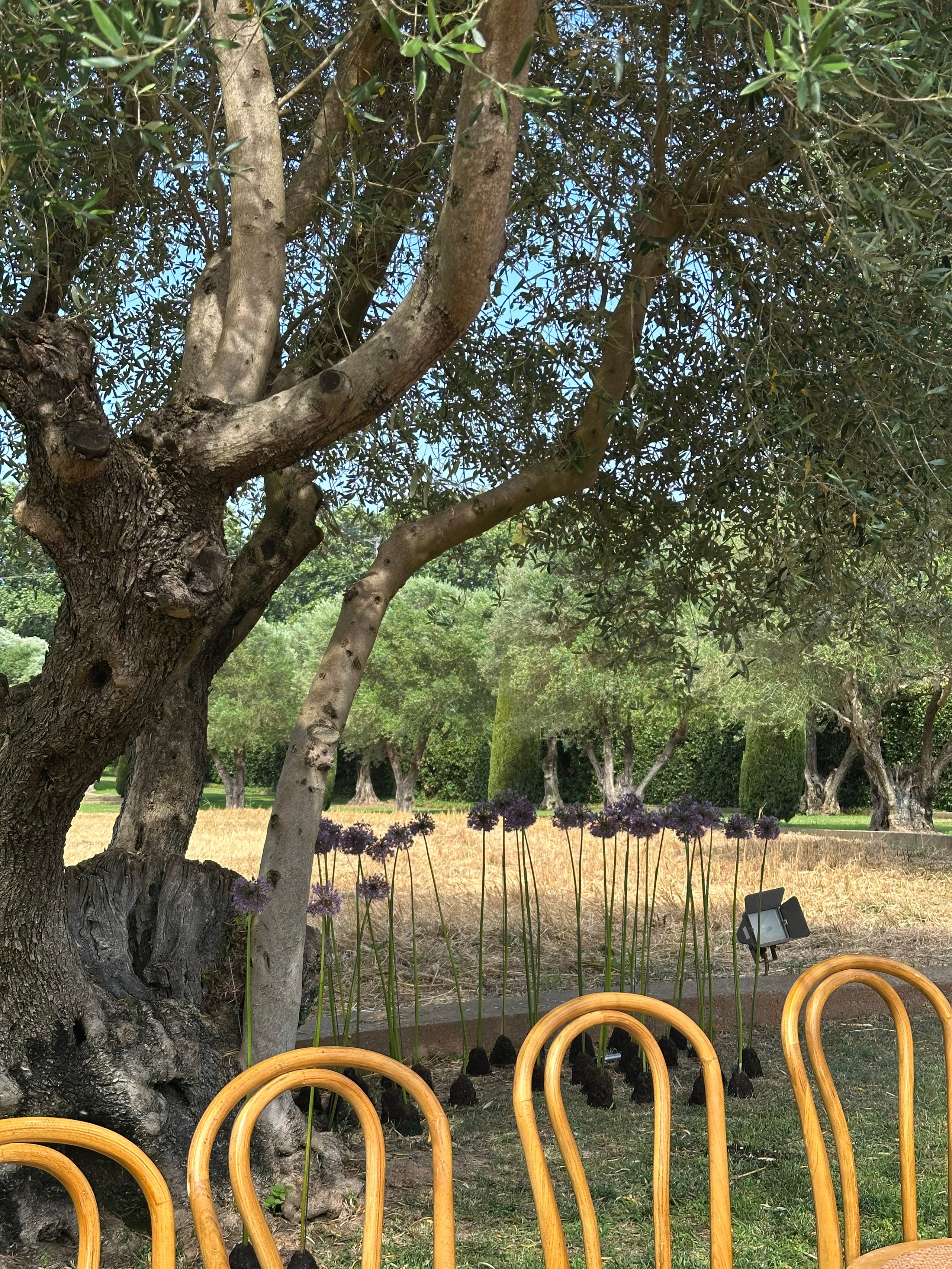 Cordero Atelier — Boda Torre de Remei