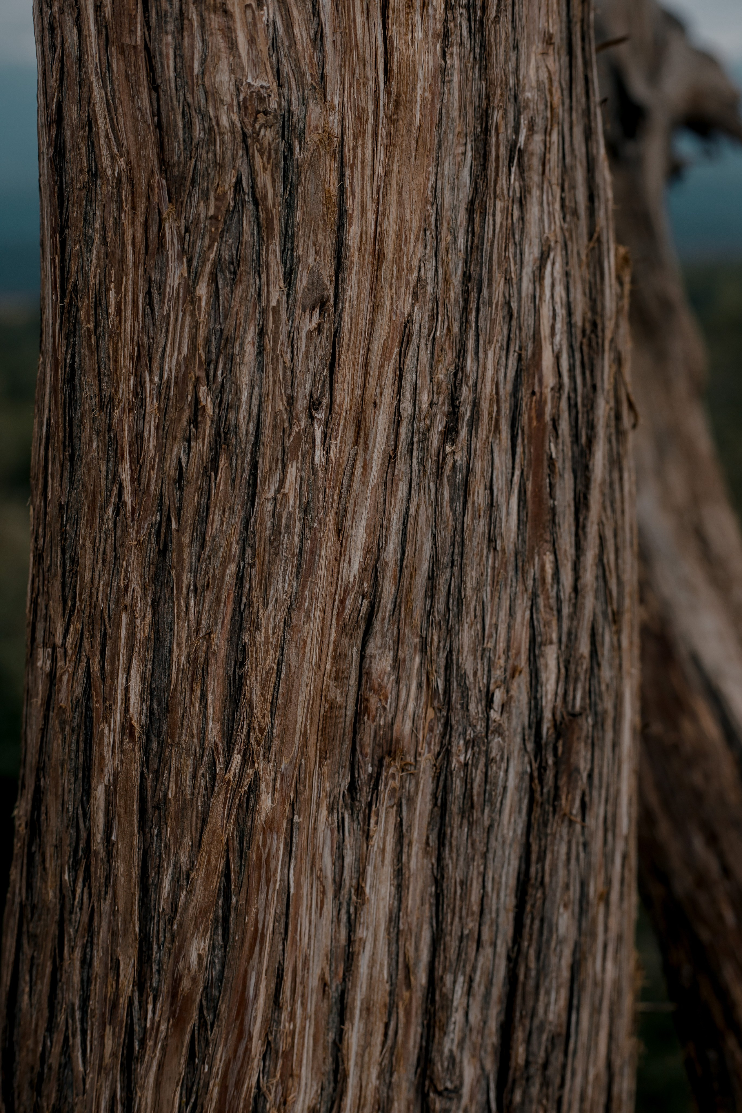 Turkey, Alanya. Art Photographer