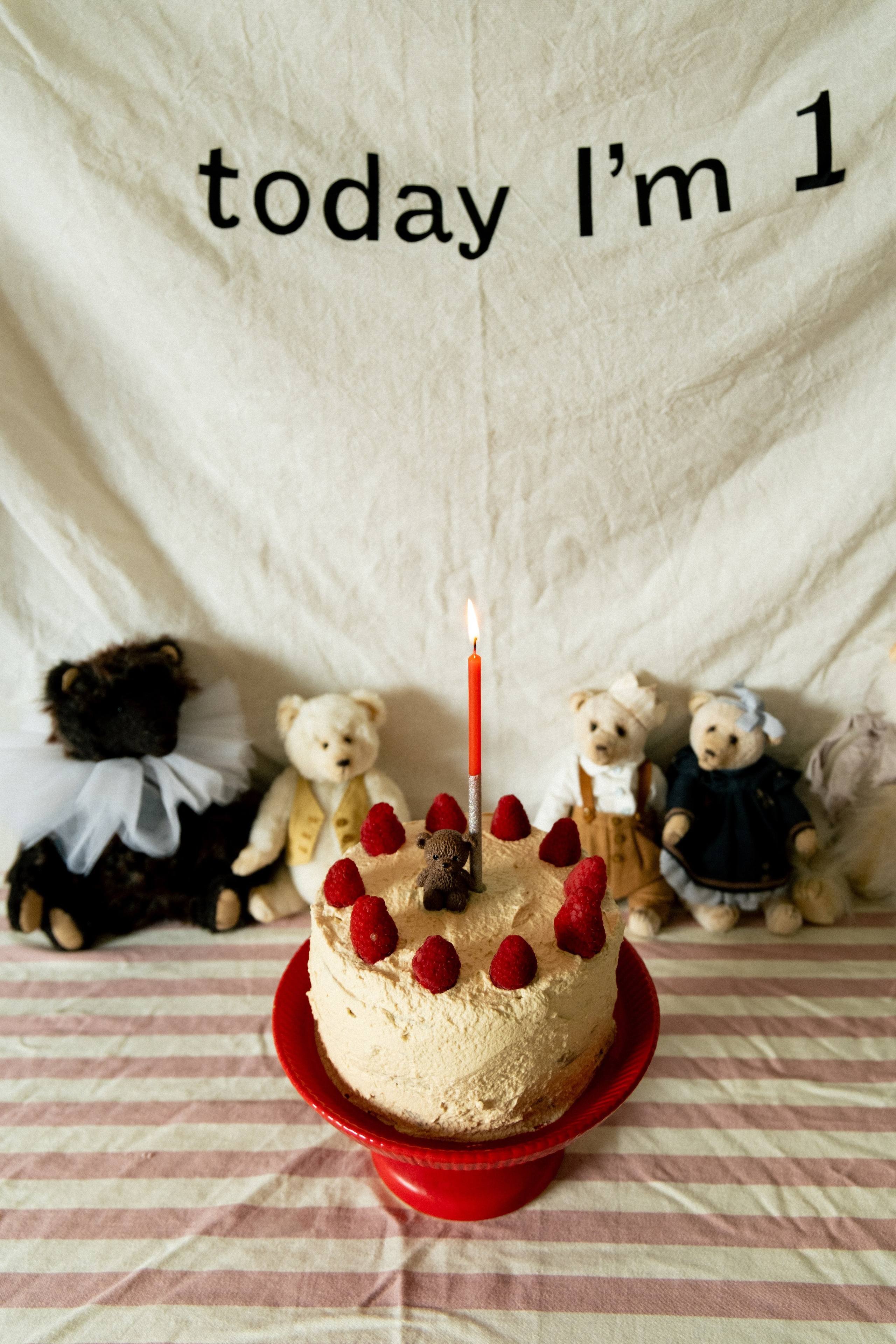 Veniamin 1 year party. Photographer Vladmir Gladkov