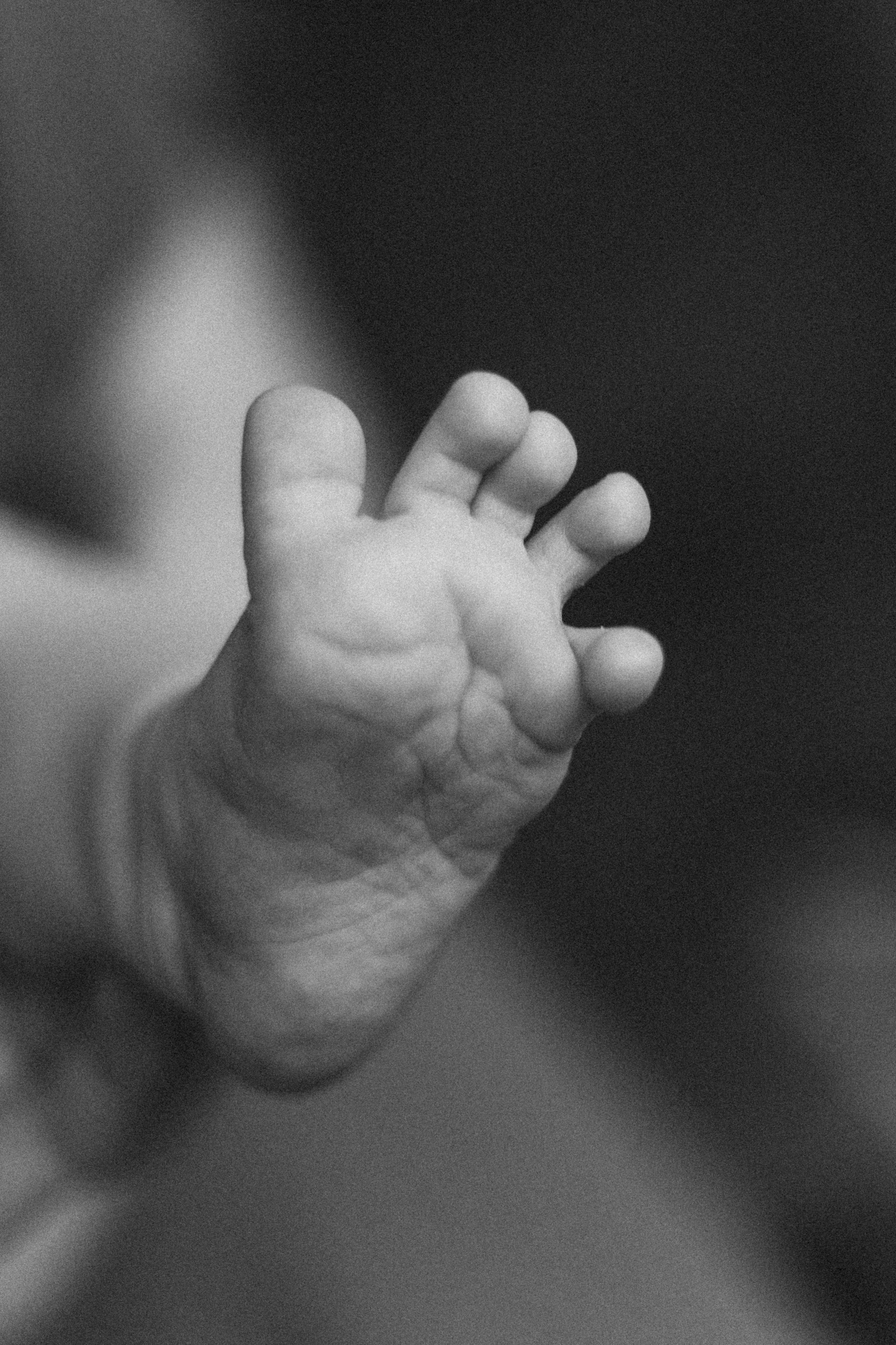 LĪVAS ģimene. GALVENĀ